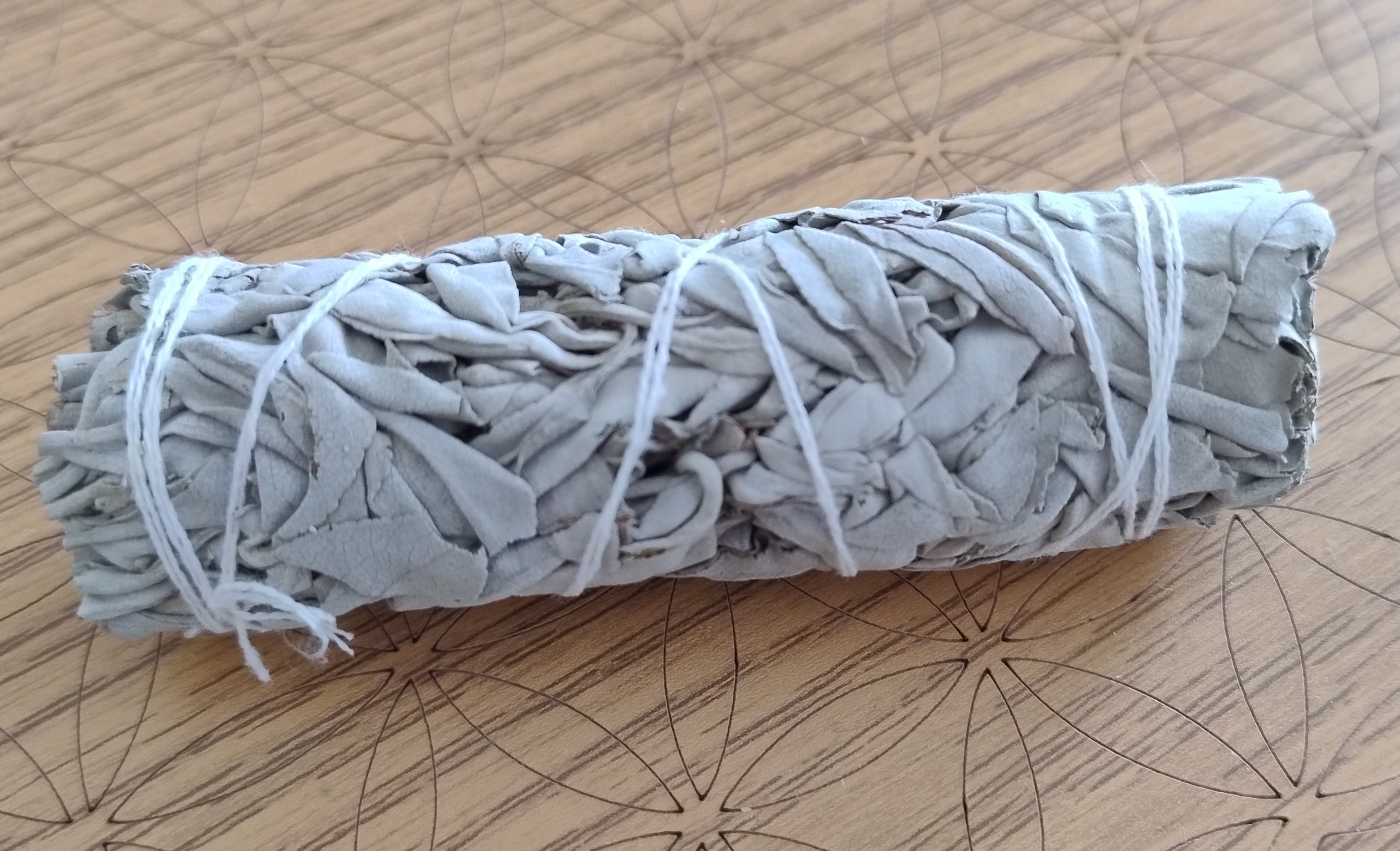 Bâton de Sauge Blanche