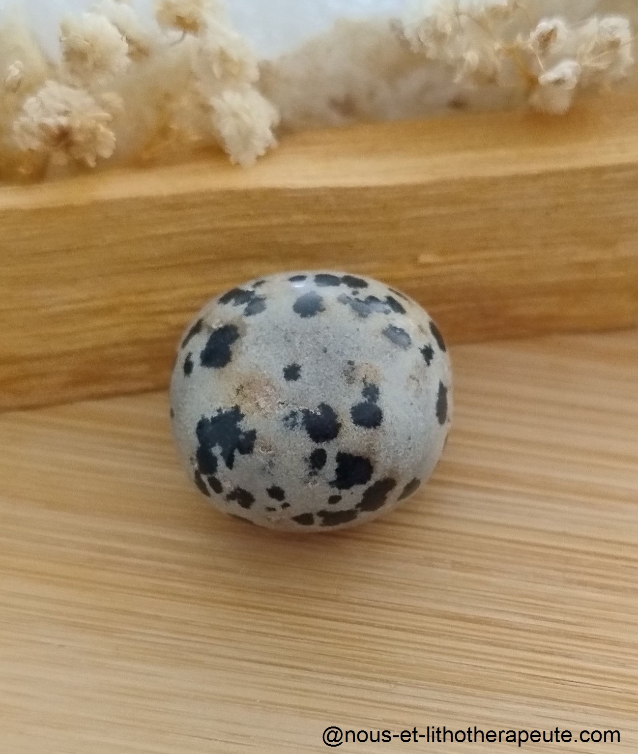 Jaspe dalmatien 