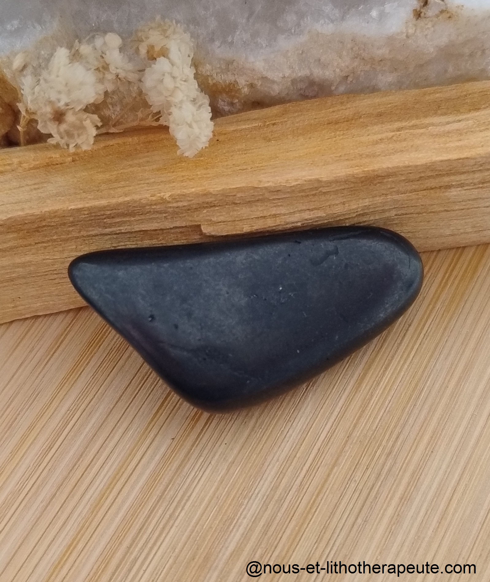 Shungite 