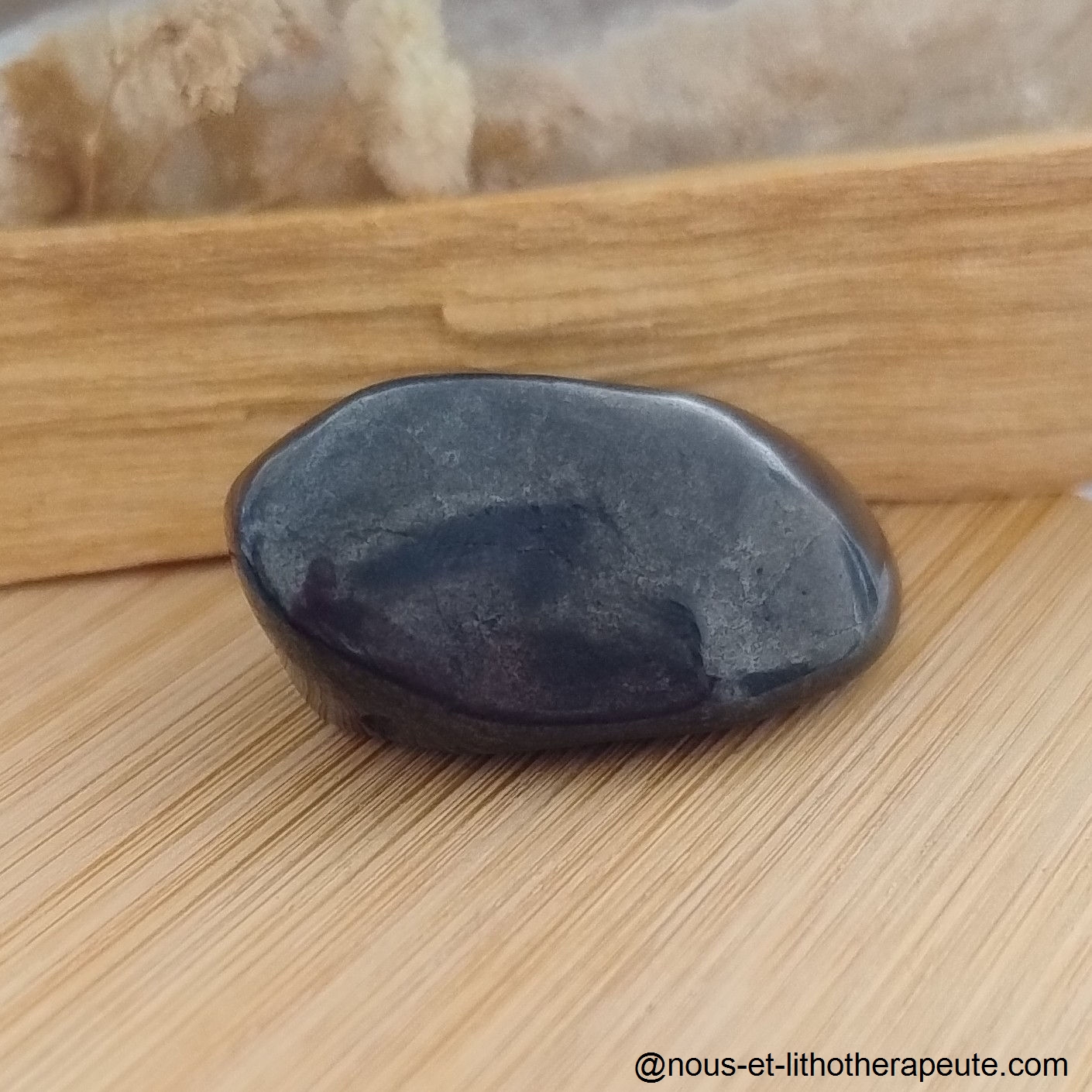 Shungite 