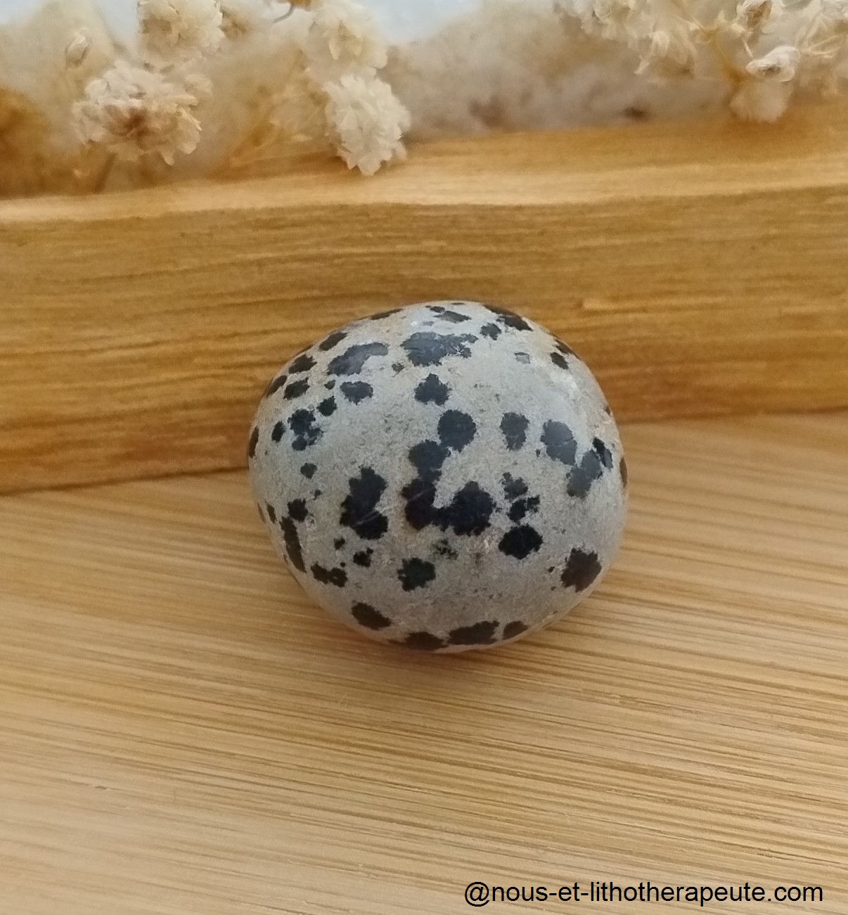 Jaspe dalmatien 