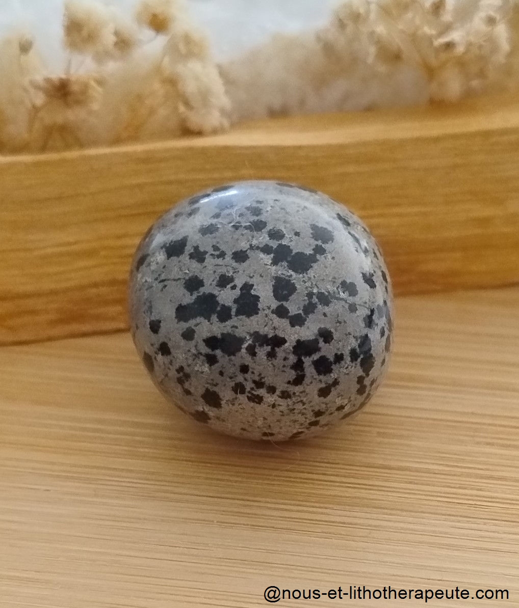 Jaspe dalmatien 