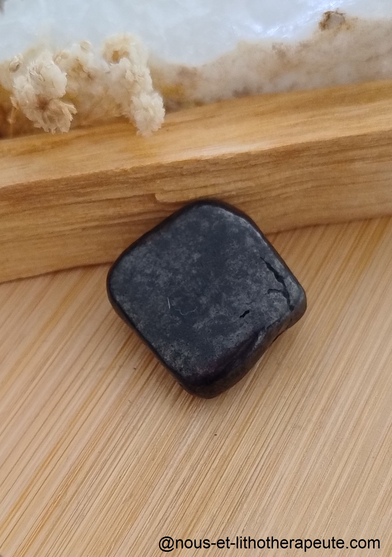 Shungite 