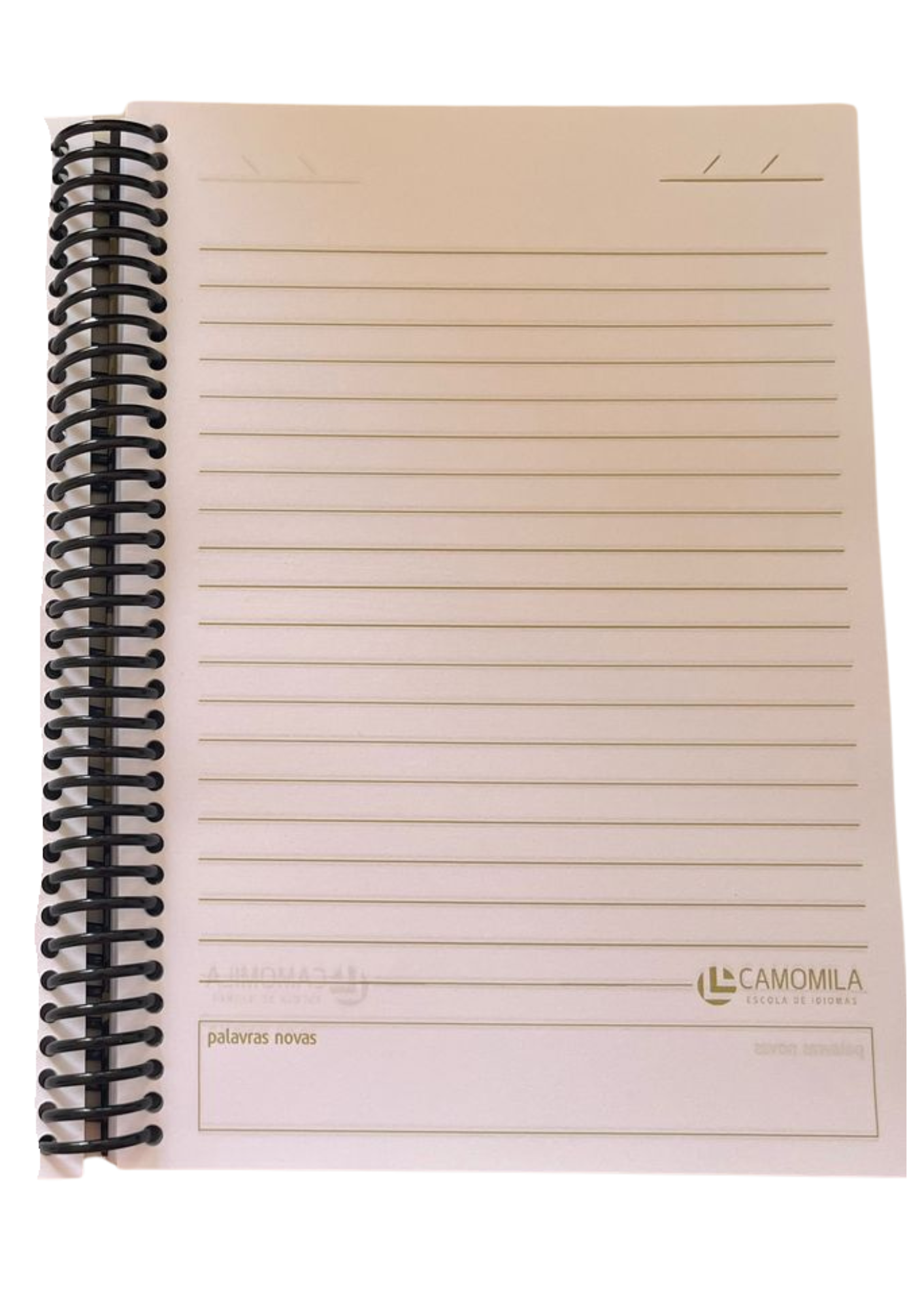 Caderno Espiral