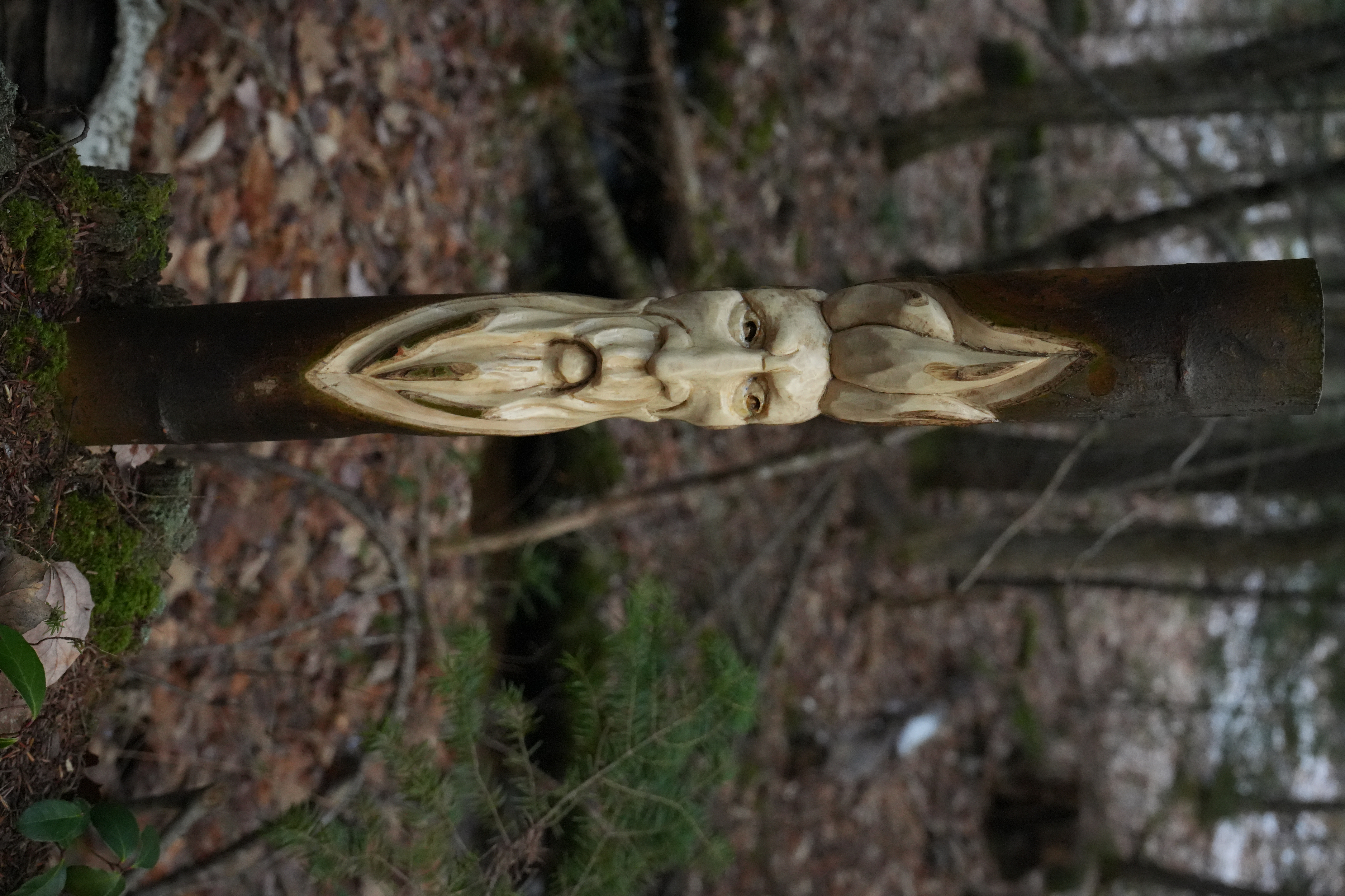 Face carving in poplar branch