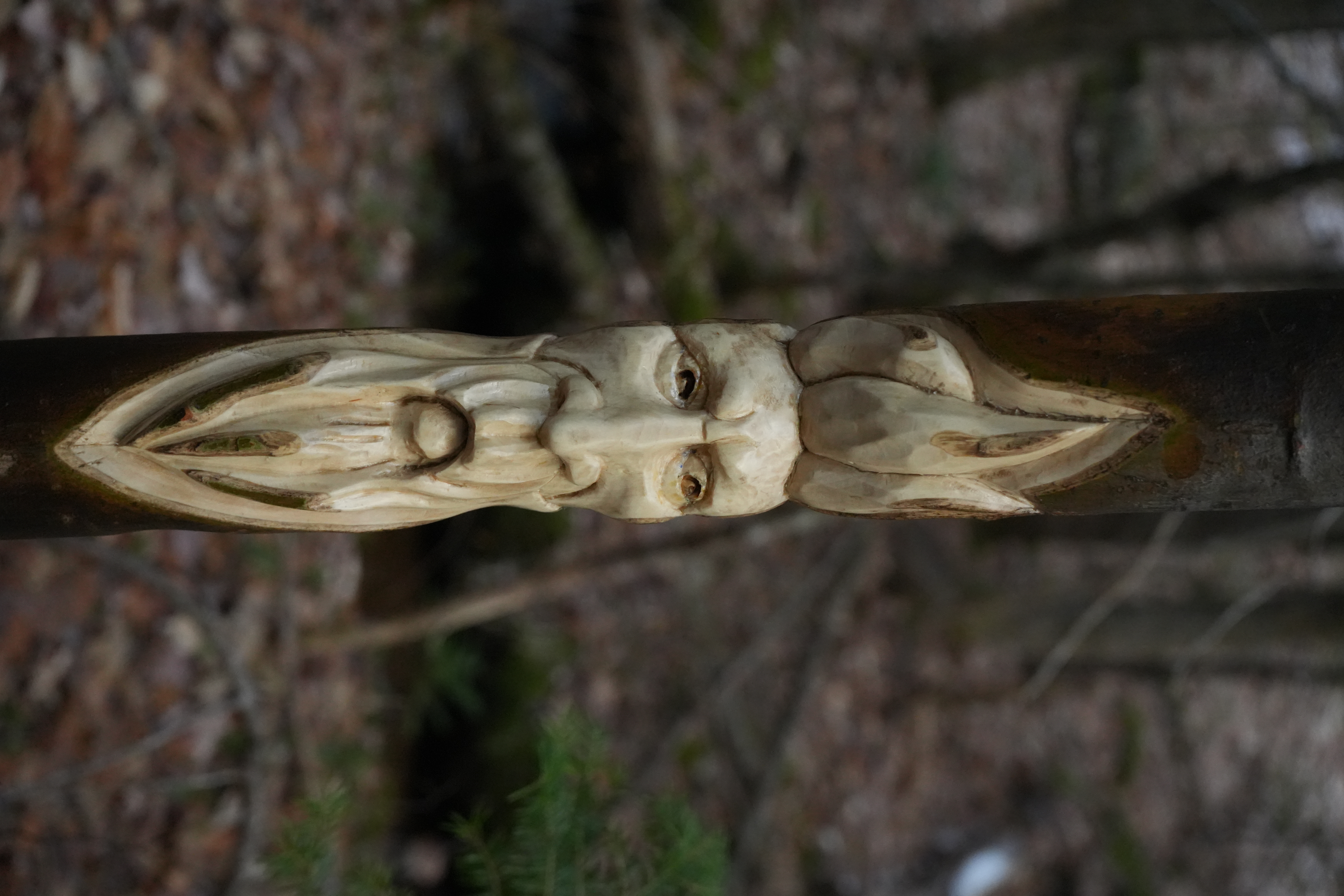 Face carving in poplar branch