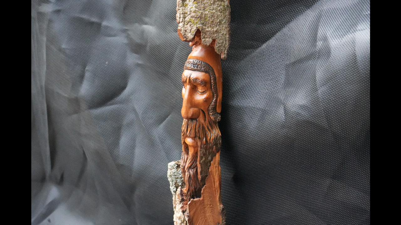 Sleeping face carved in cottonwood bark