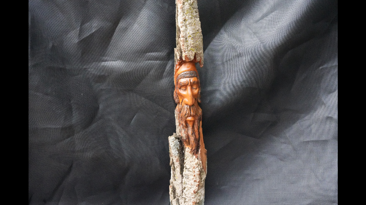 Sleeping face carved in cottonwood bark