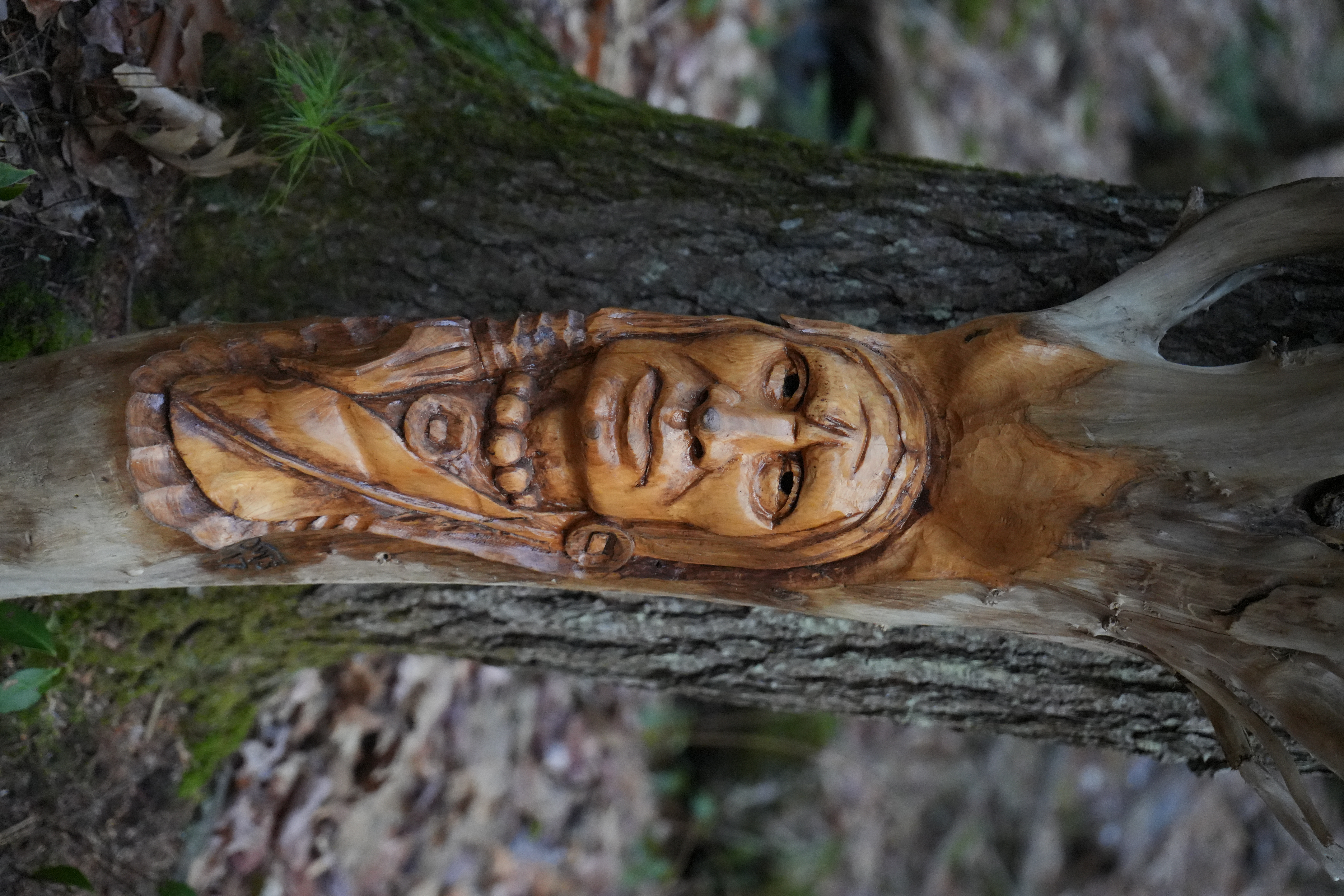 SOLD Native American face carved in driftwood