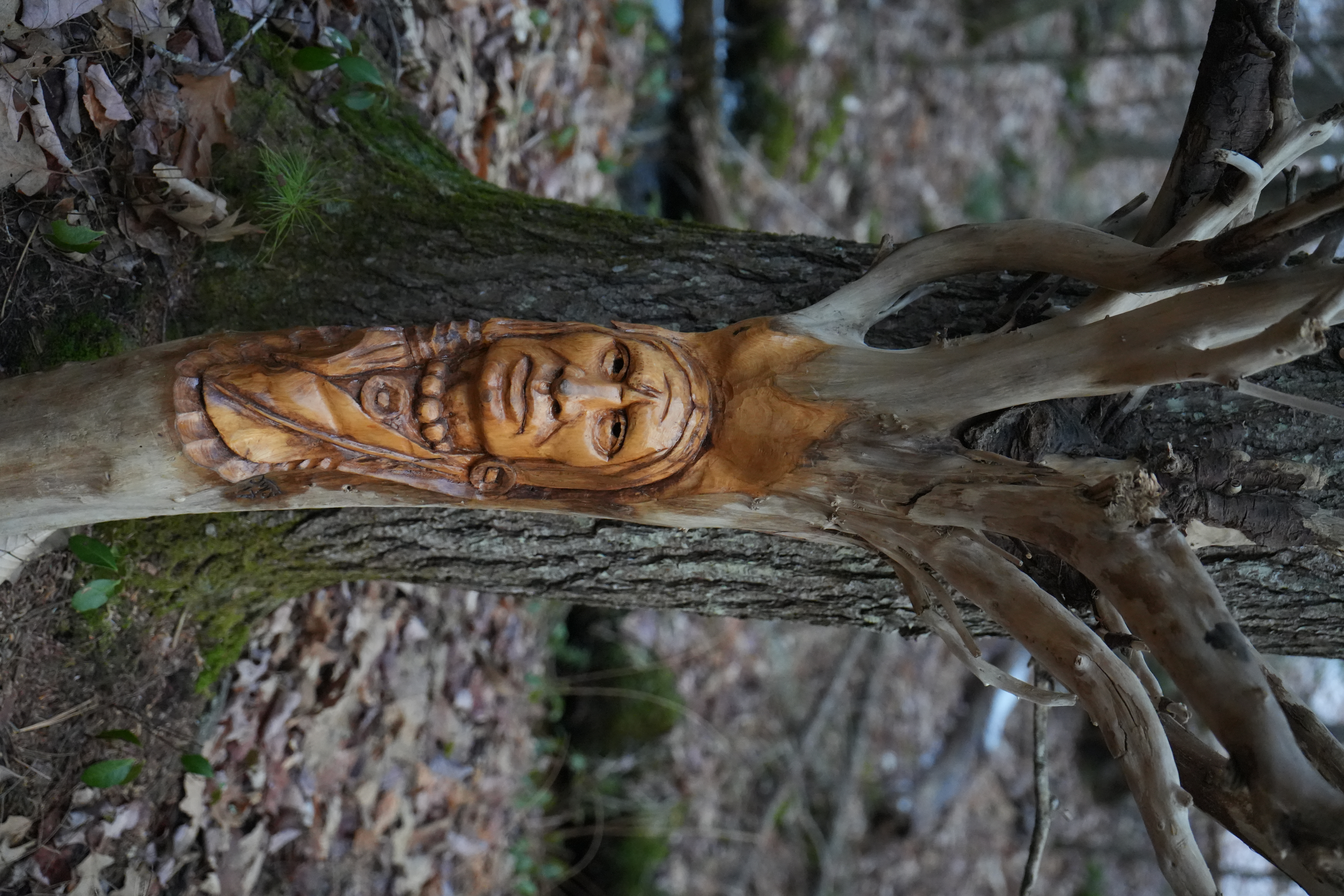 SOLD Native American face carved in driftwood