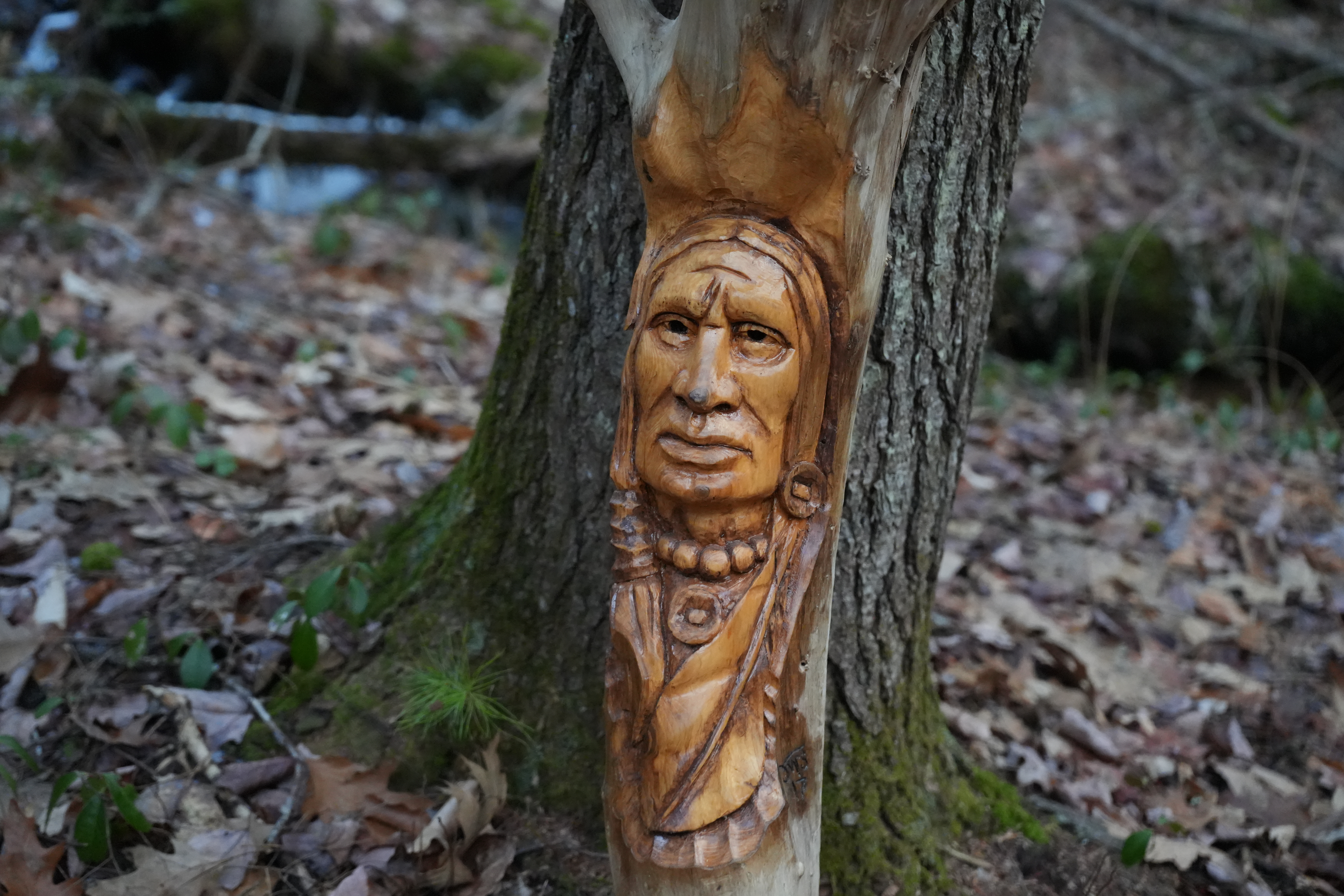 SOLD Native American face carved in driftwood