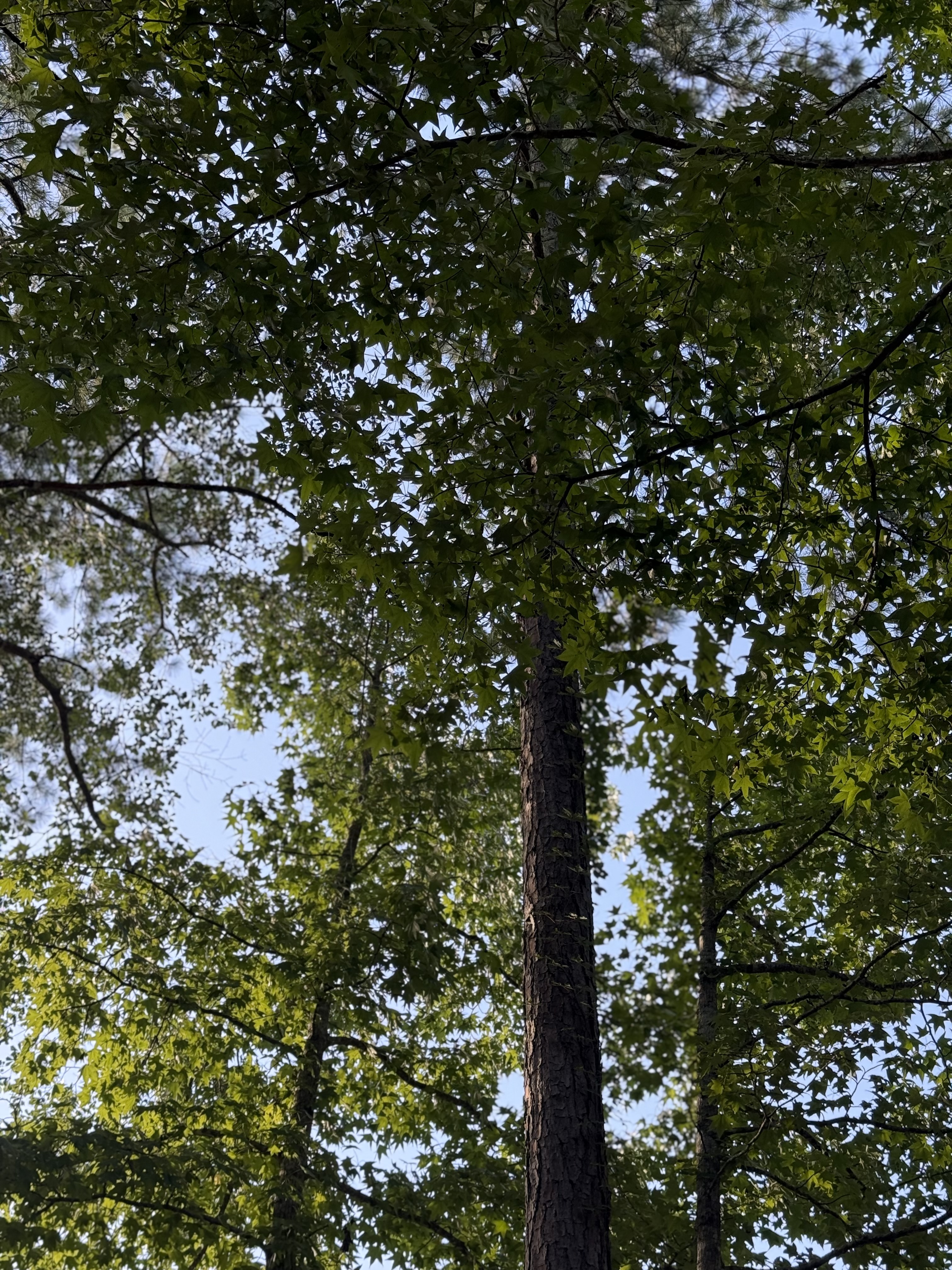 Messy Moments - November