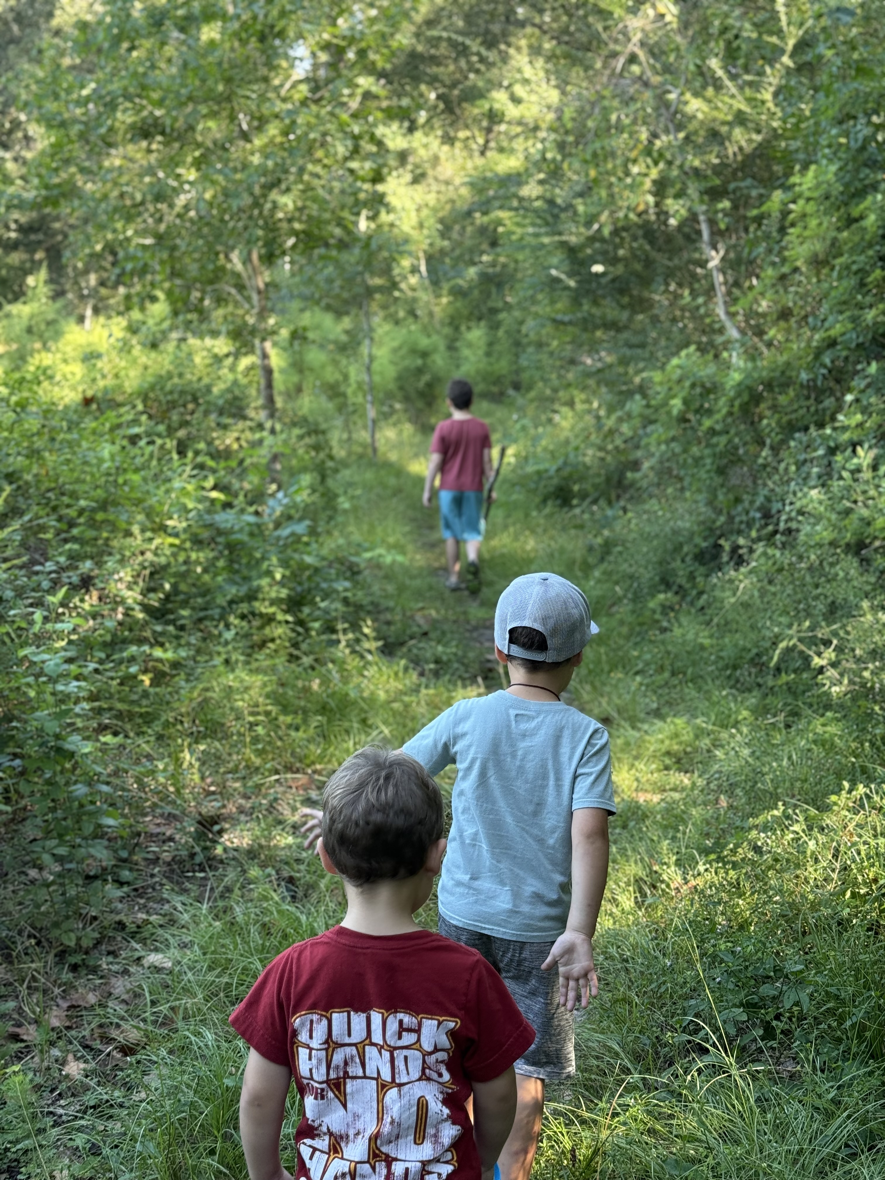 Walk in the Woods 