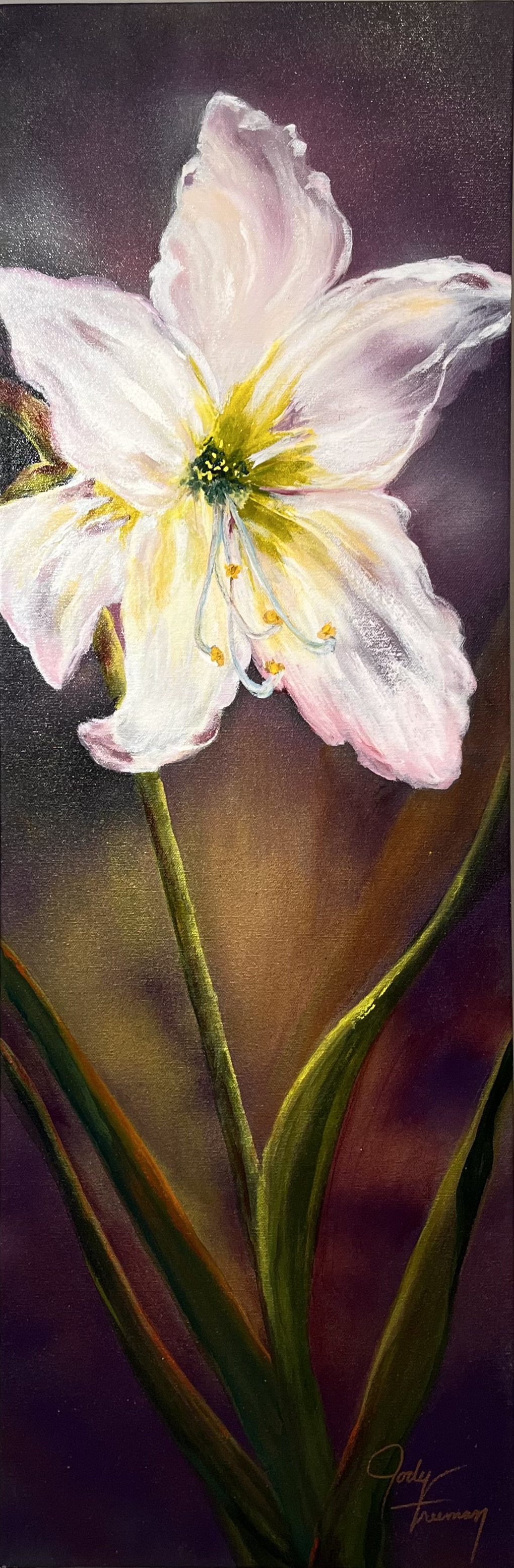  Lilly 