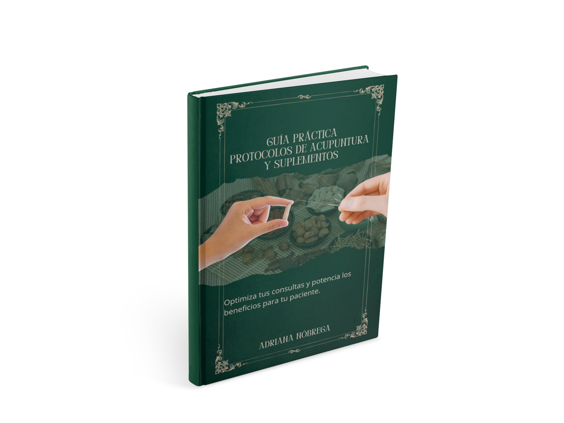 Guía Práctica Protocolos de Acupuntura y Suplementos