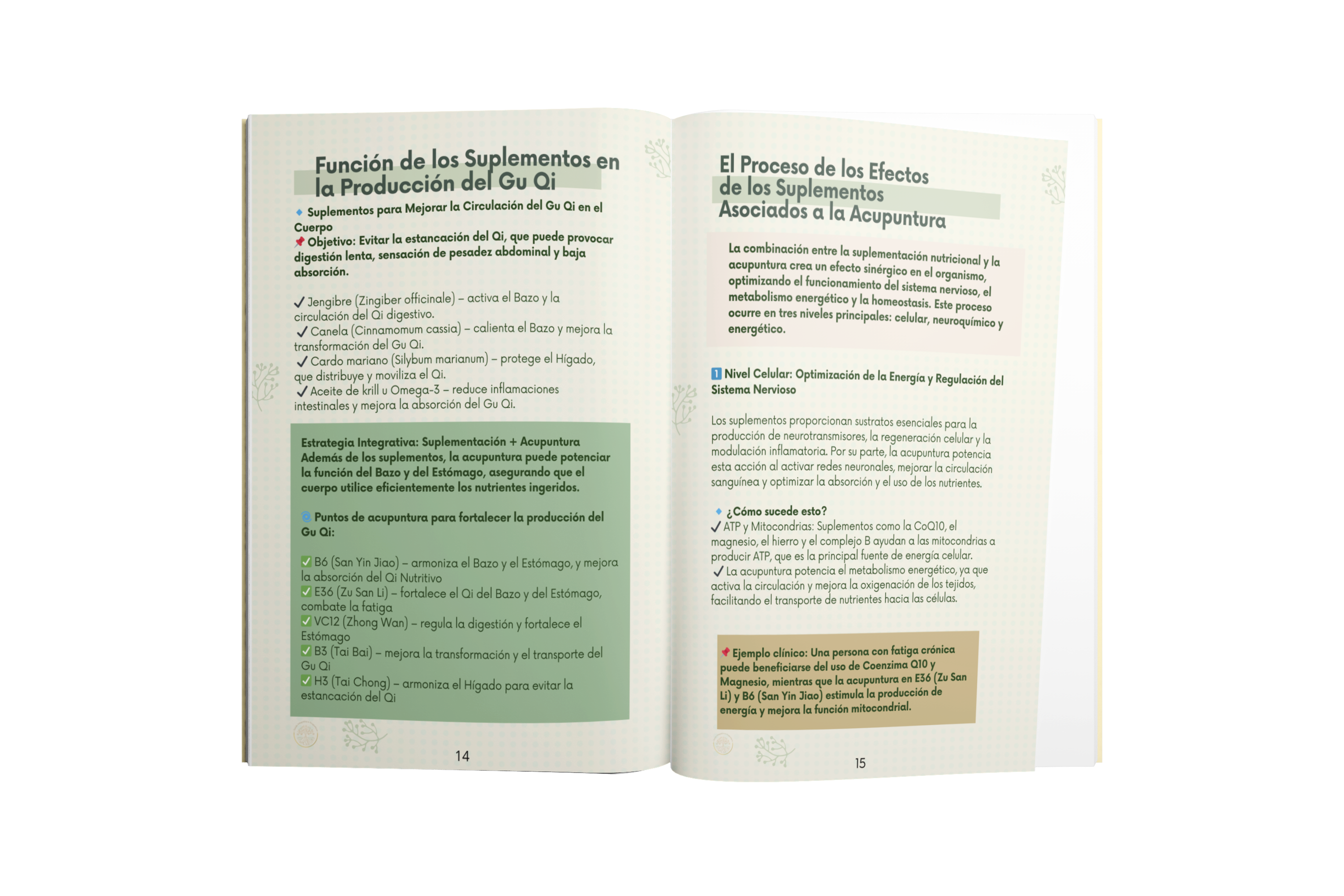 Guía Práctica Protocolos de Acupuntura y Suplementos