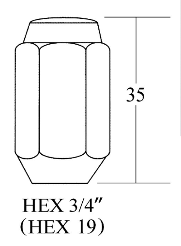Closed End Lug Nut - 19HEX, 35L