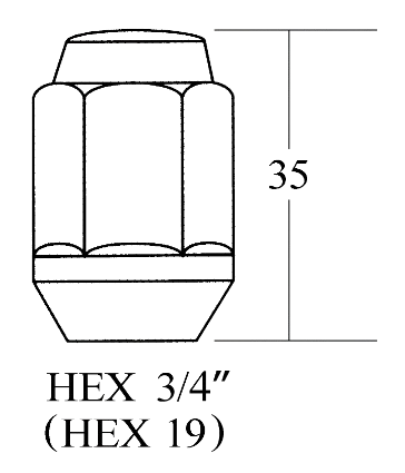 Closed End Lug Nut - 19HEX, 31L/45L/48L