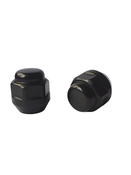 Closed End Lug Nut - 19HEX, 25L