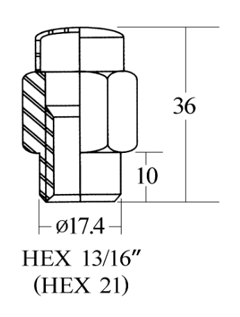 Closed End Mag Shank Lug Nut - 21HEX, 36L