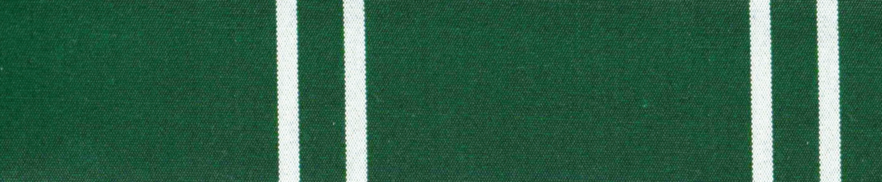 3140 Solution dyed acrylic fabric Green Striped Outdoor Rug