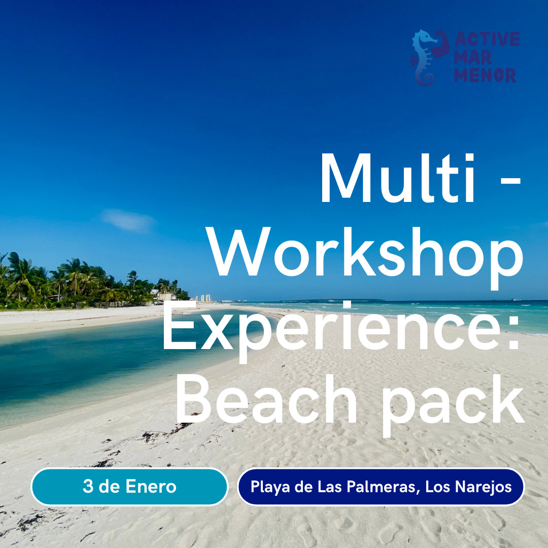 Multi - Workshop Experience: Workshops packs