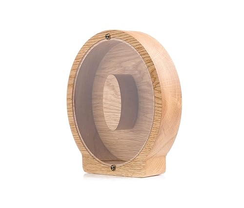 Personalized Wooden Letter O Piggy Bank 