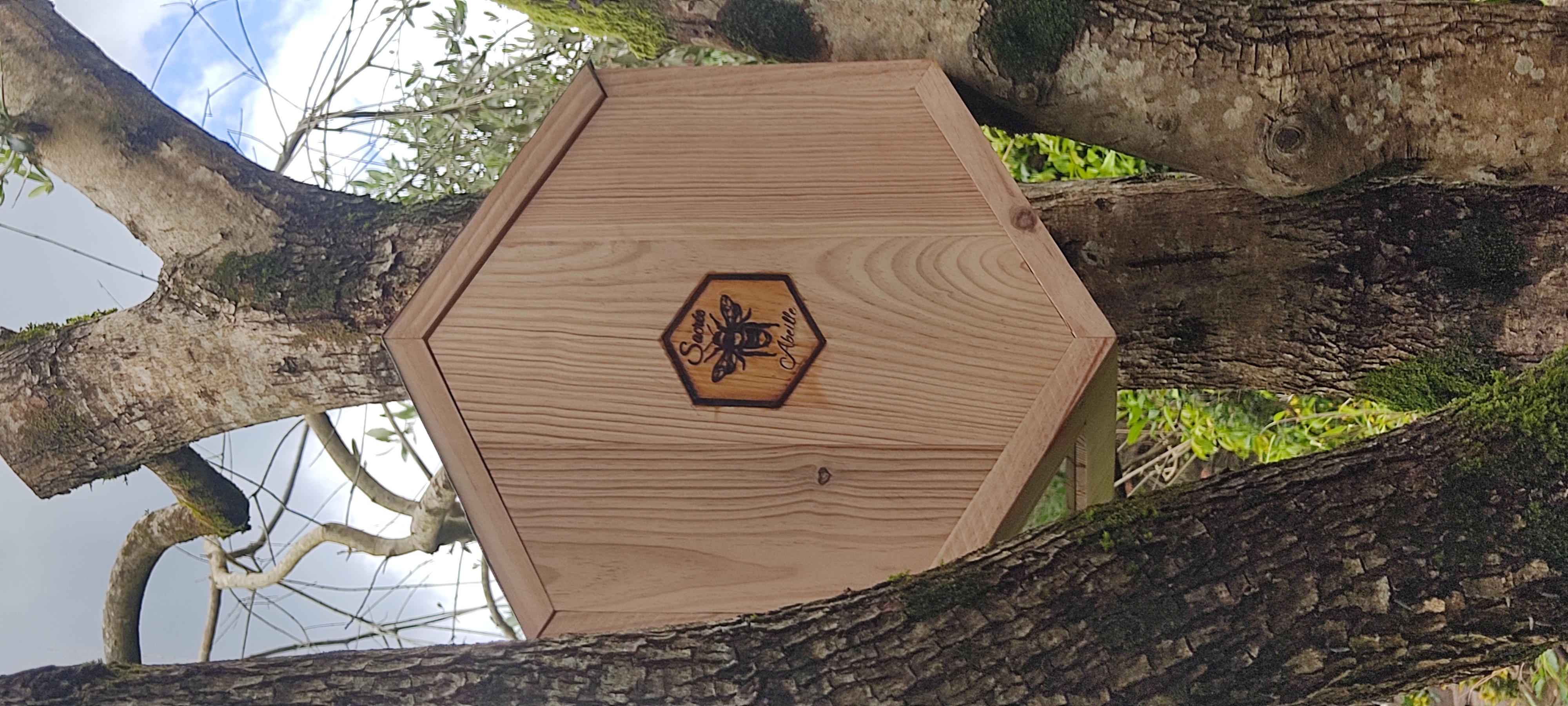 Ruche de biodiversité RSE/RSO