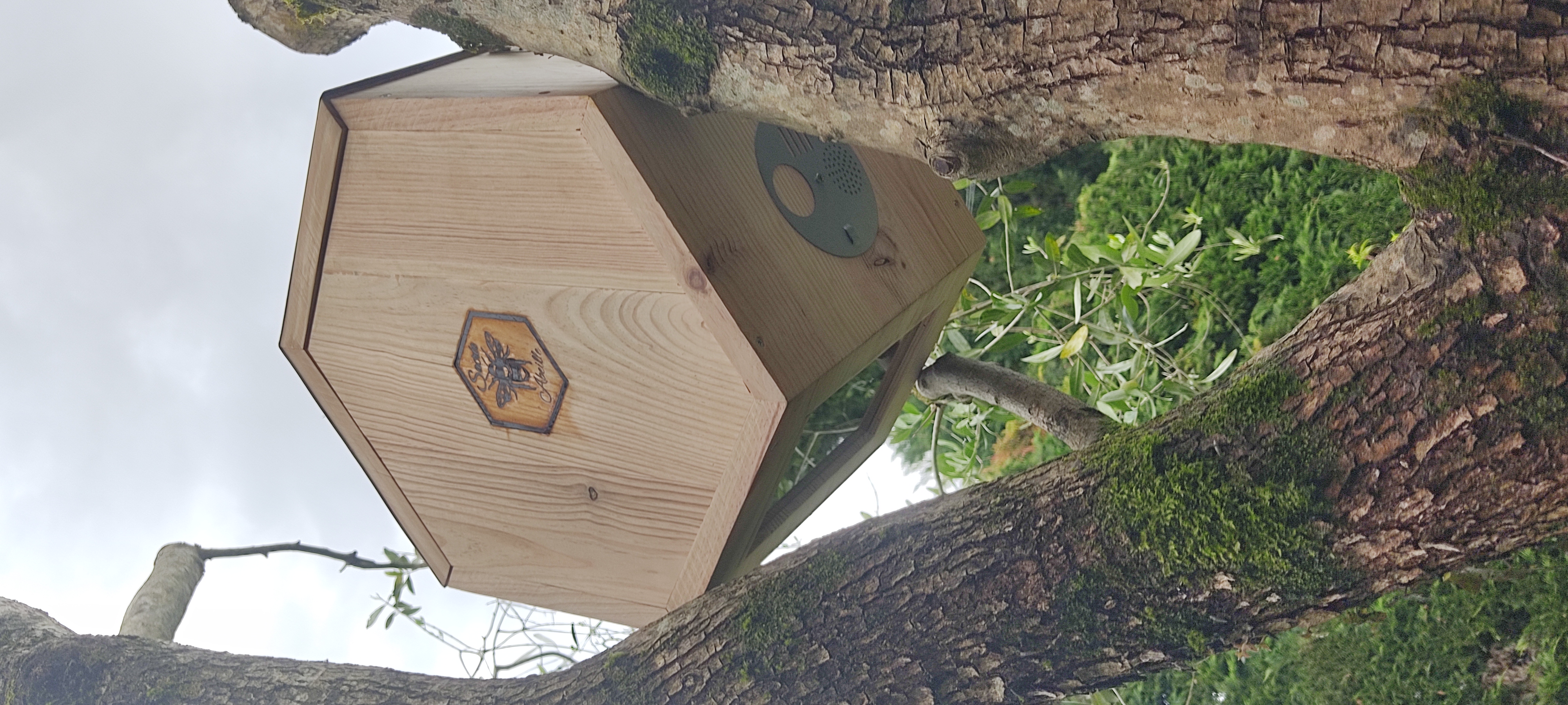 Ruche de biodiversité RSE/RSO