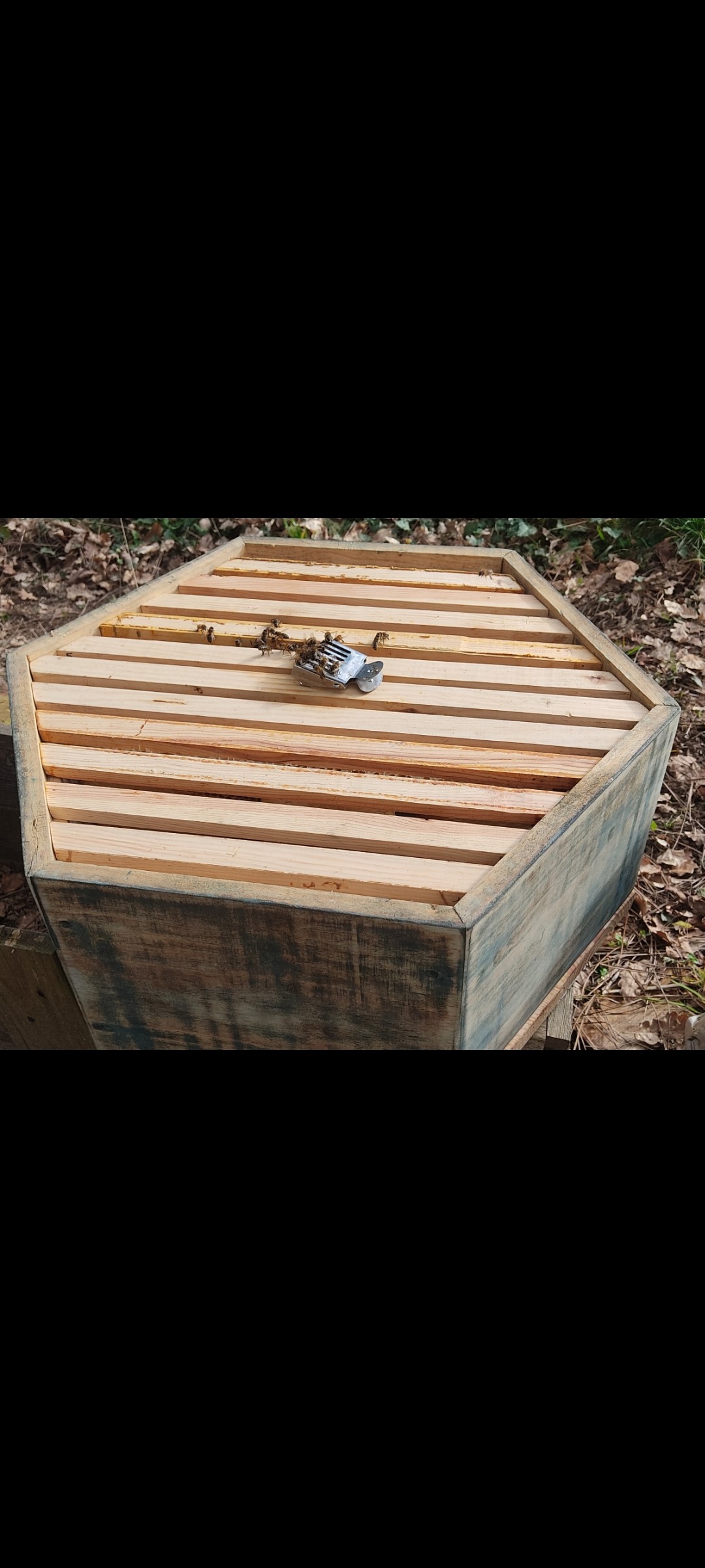 Ruche Naturelle RSE/RSO