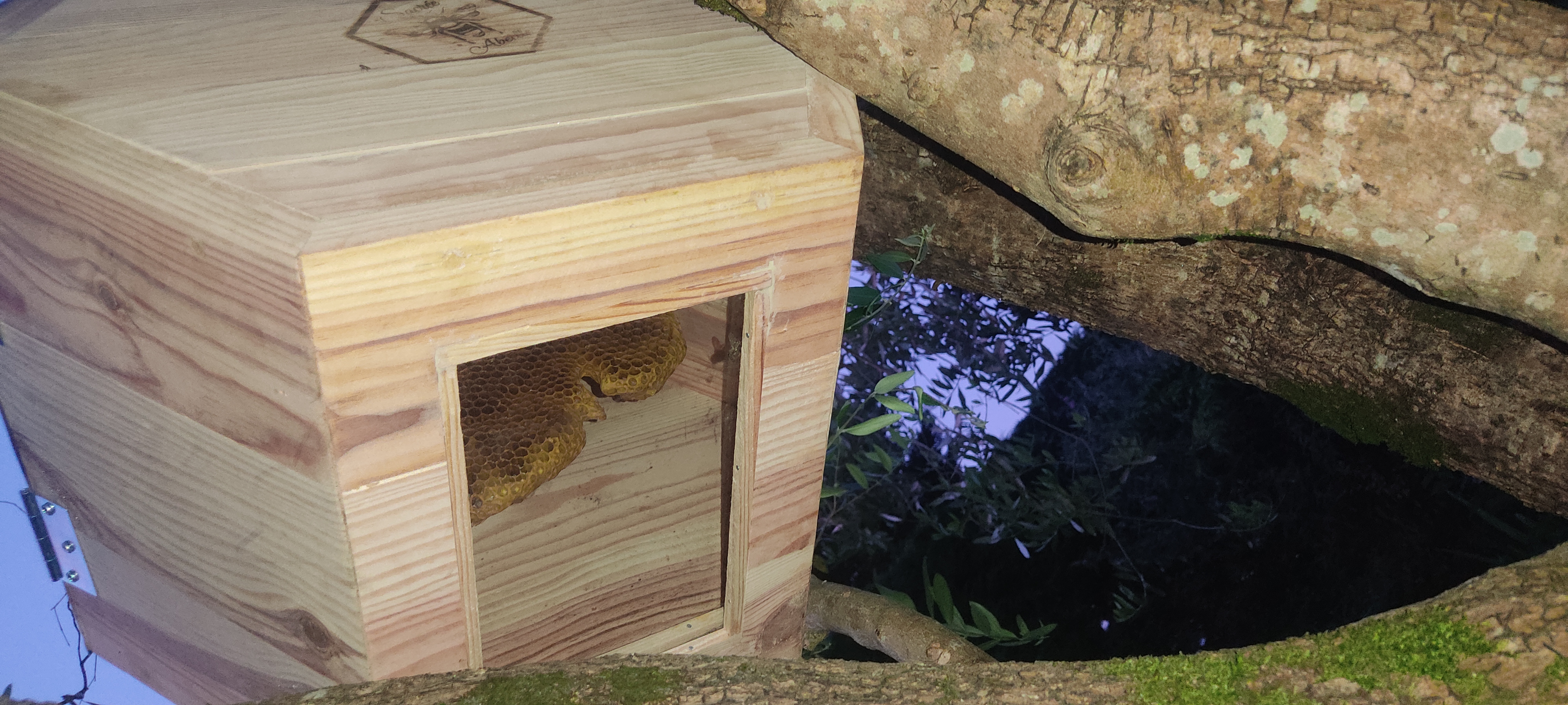 Ruche de biodiversité RSE/RSO