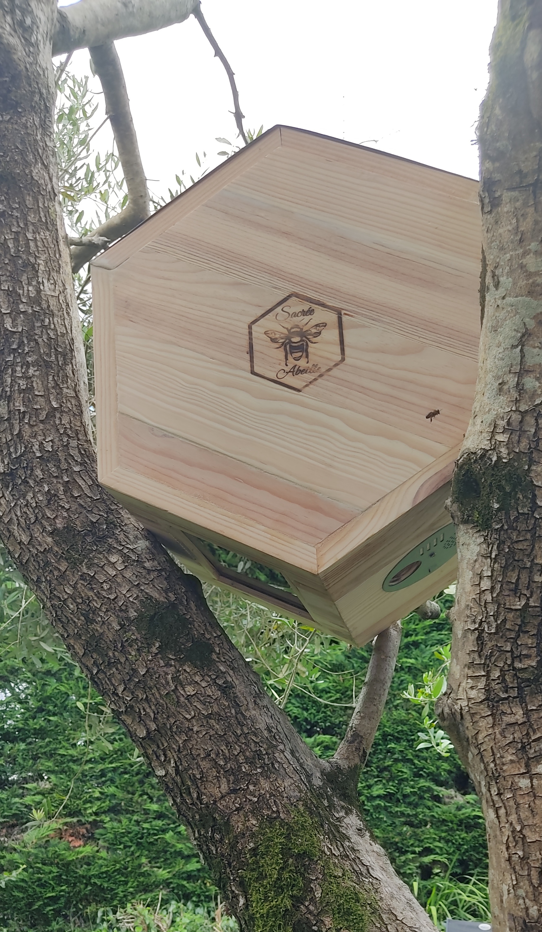 Ruche de Biodiversité en forme d'alvéole