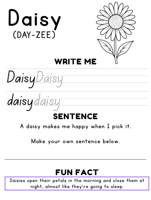 The Letter D Delights Me