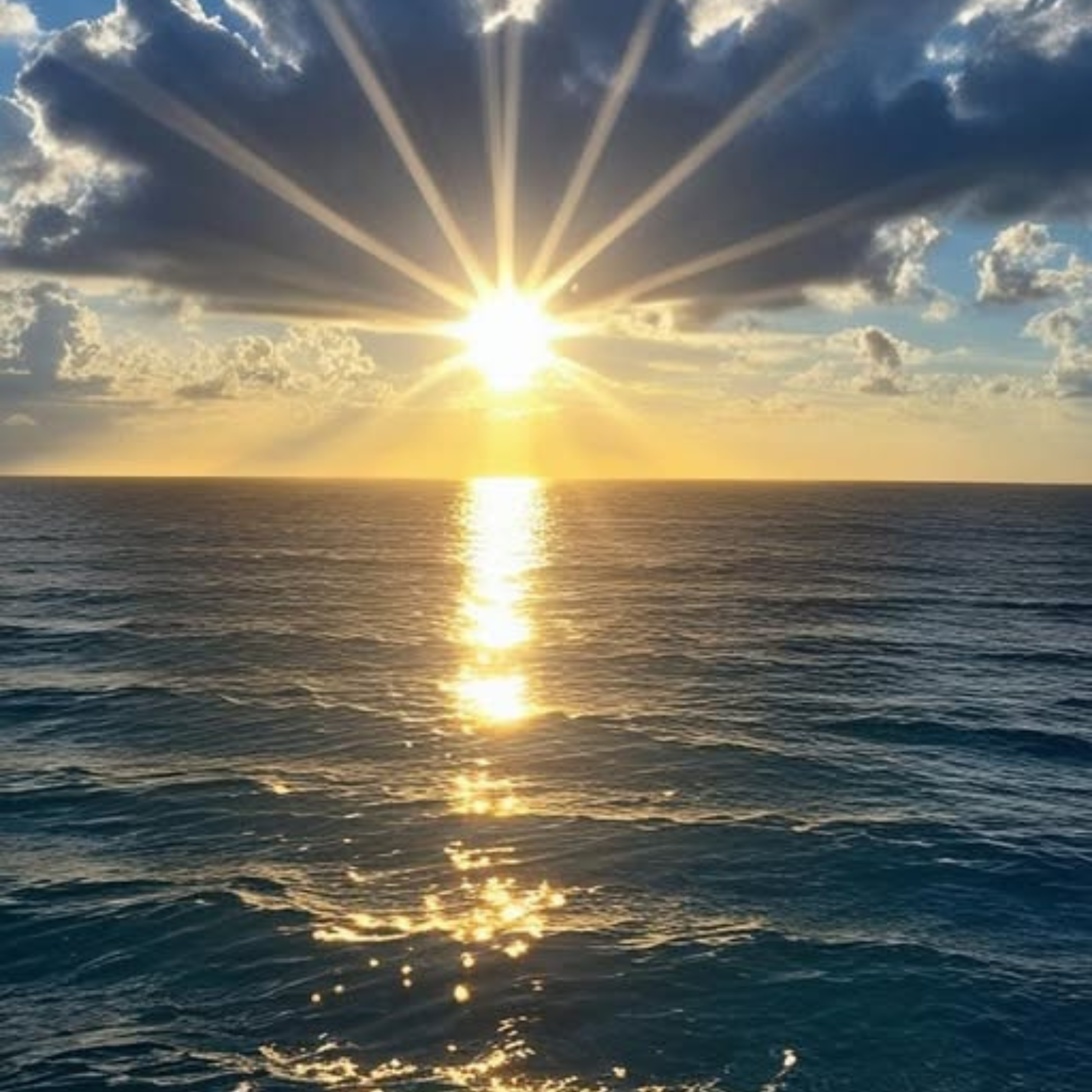 LAND OF THE FREE - New Release