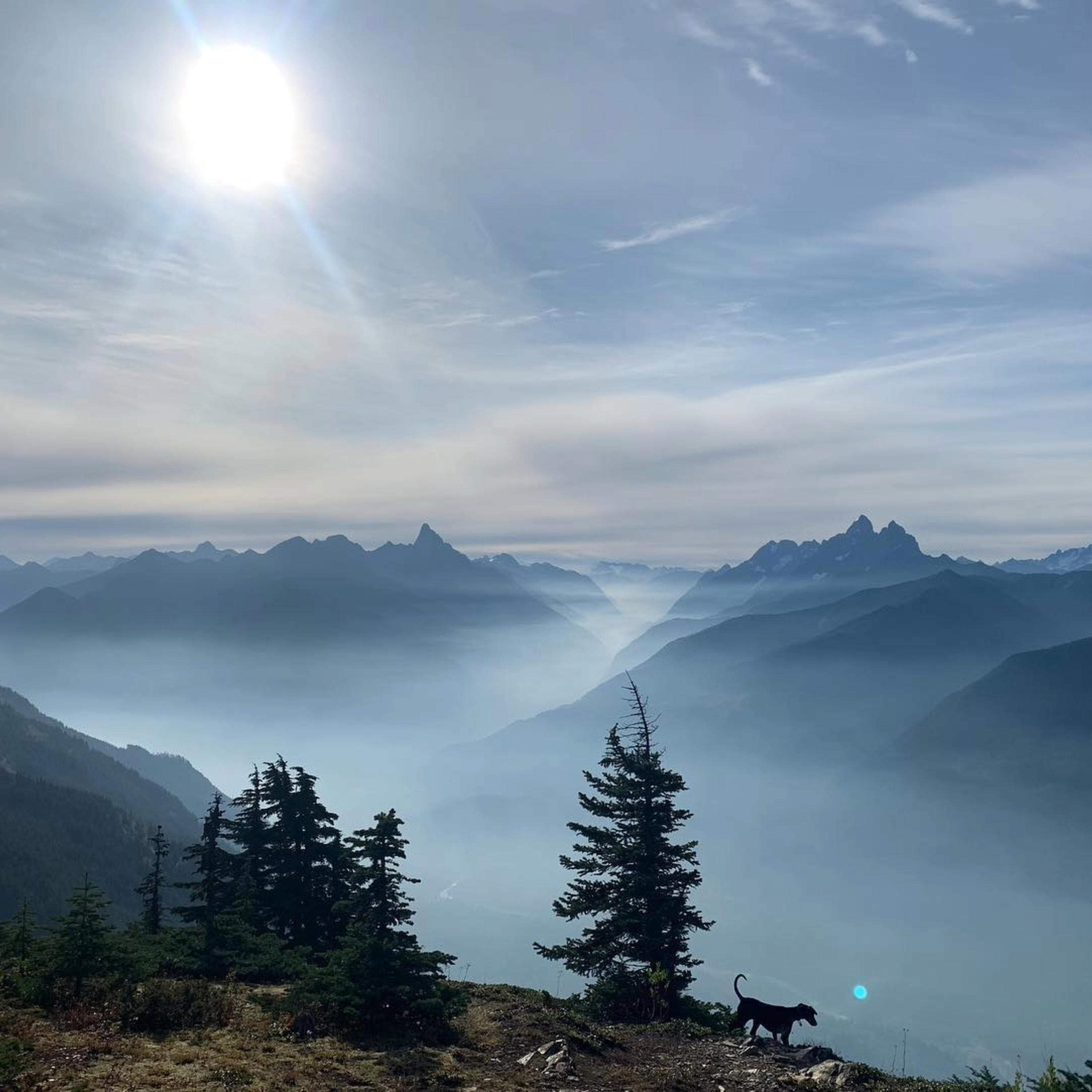 GAZA - Where is the World? - NEW RELEASE