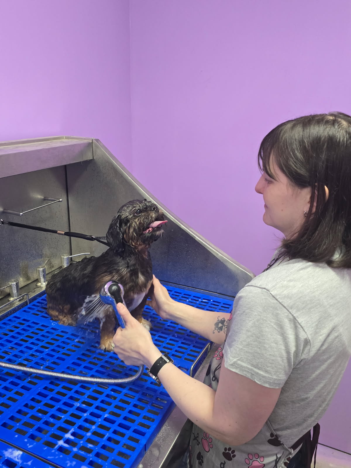 Full service Dog Bath