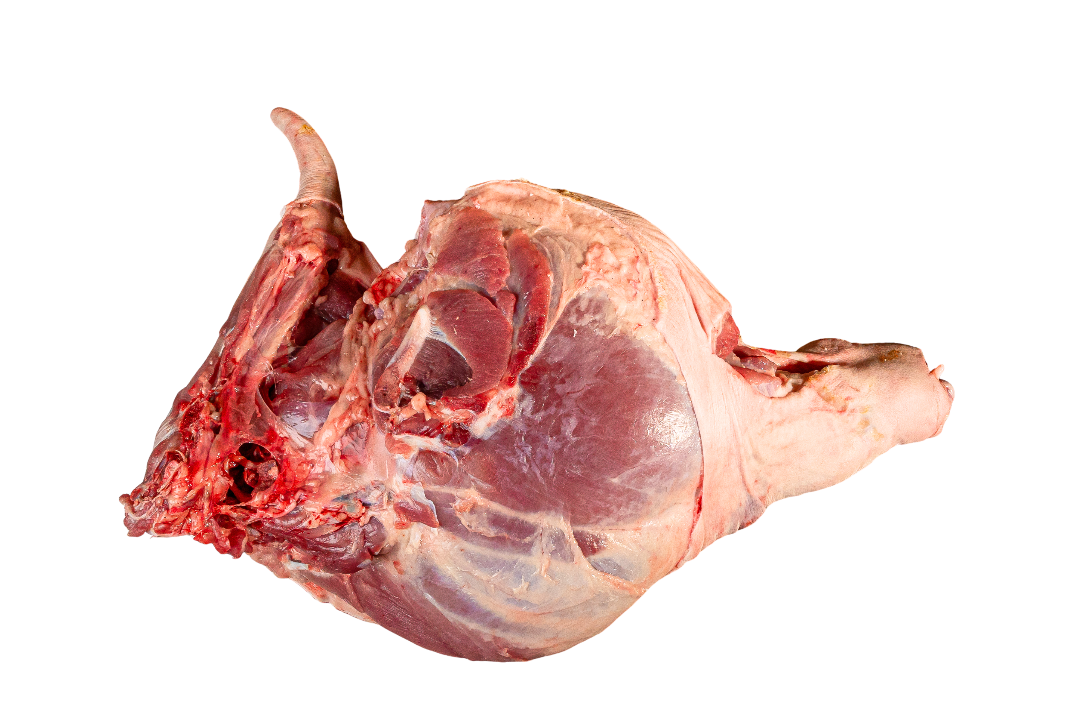 Cerdo Partido en 6 o 4 partes