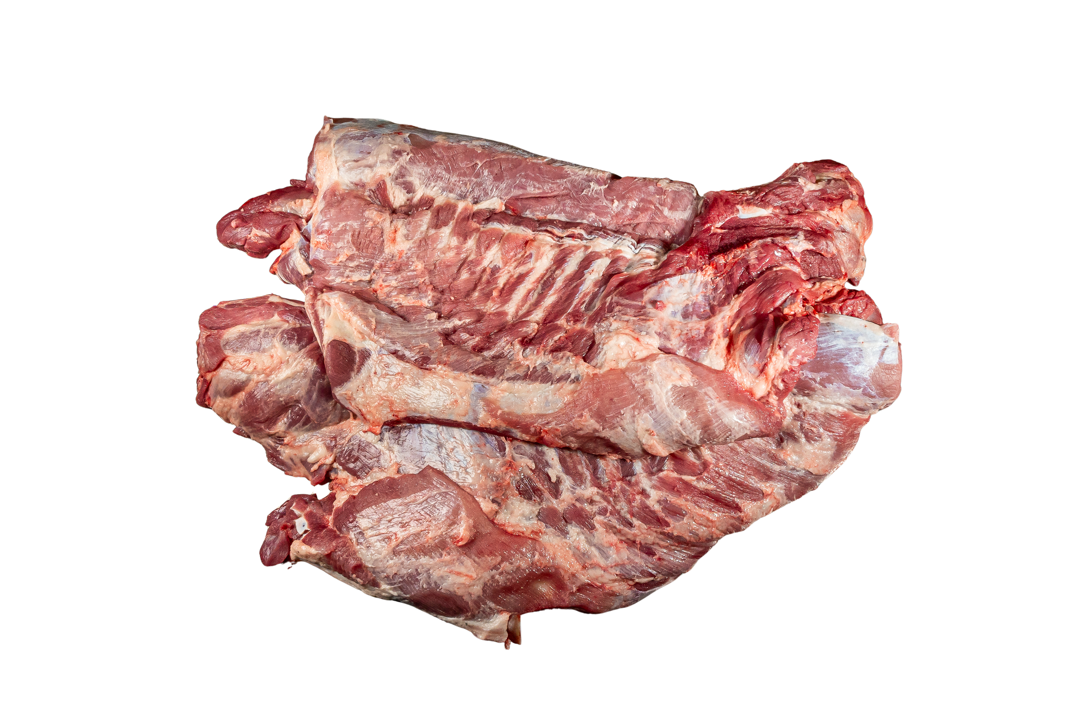 Canal de Cerdo Completo