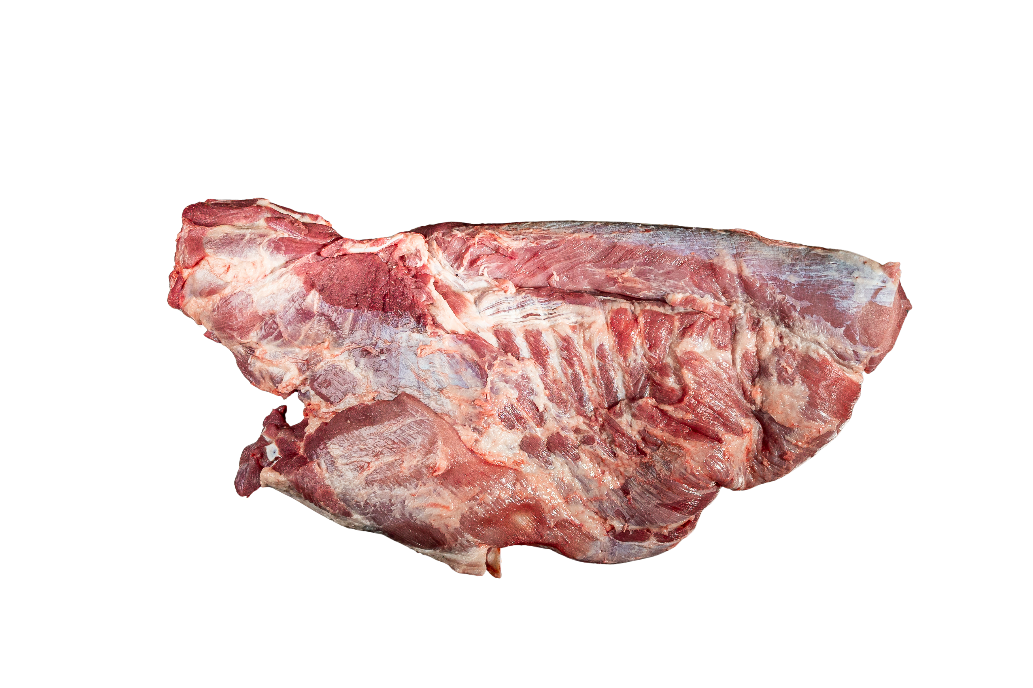 Costilla