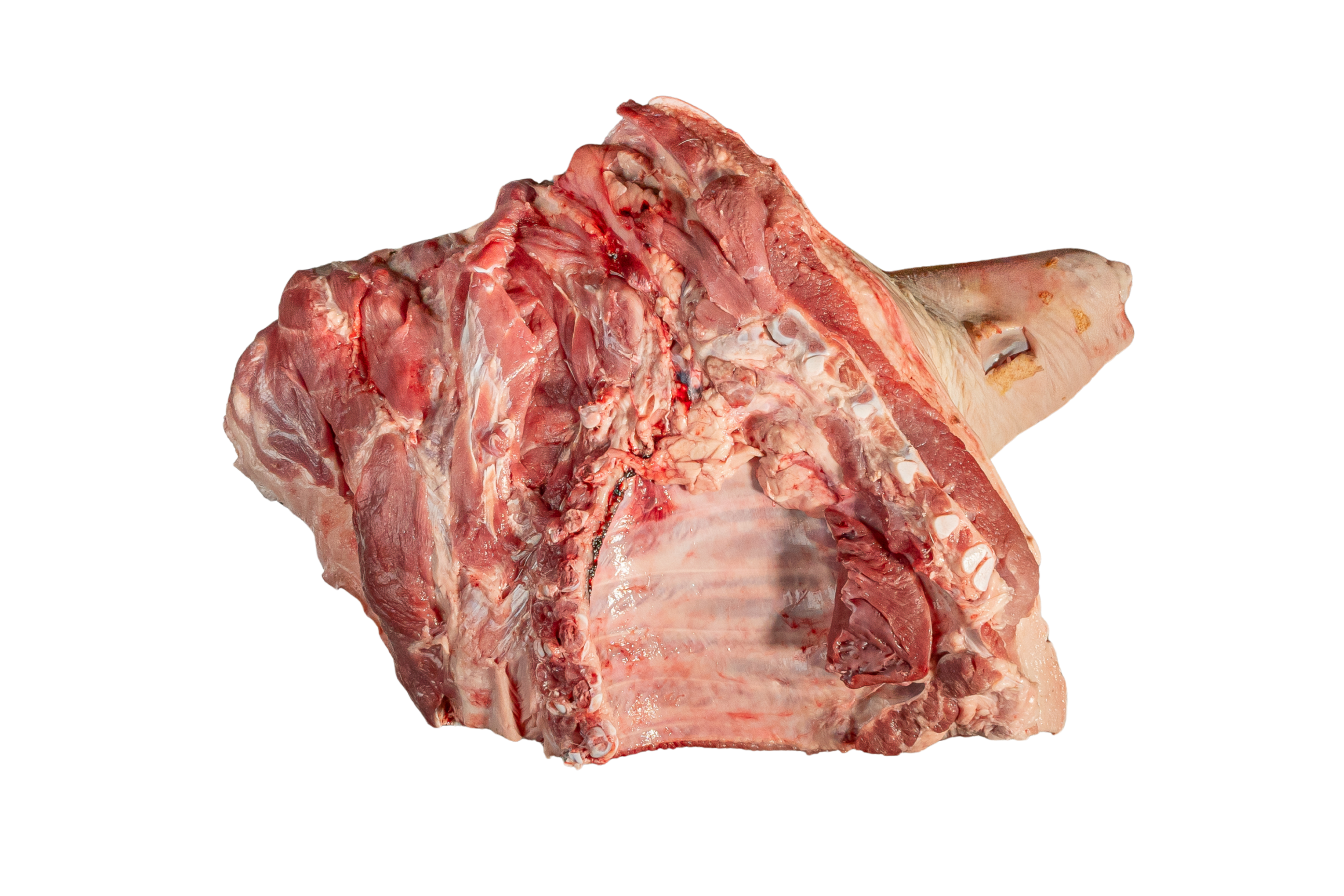 Cerdo Partido en 6 o 4 partes