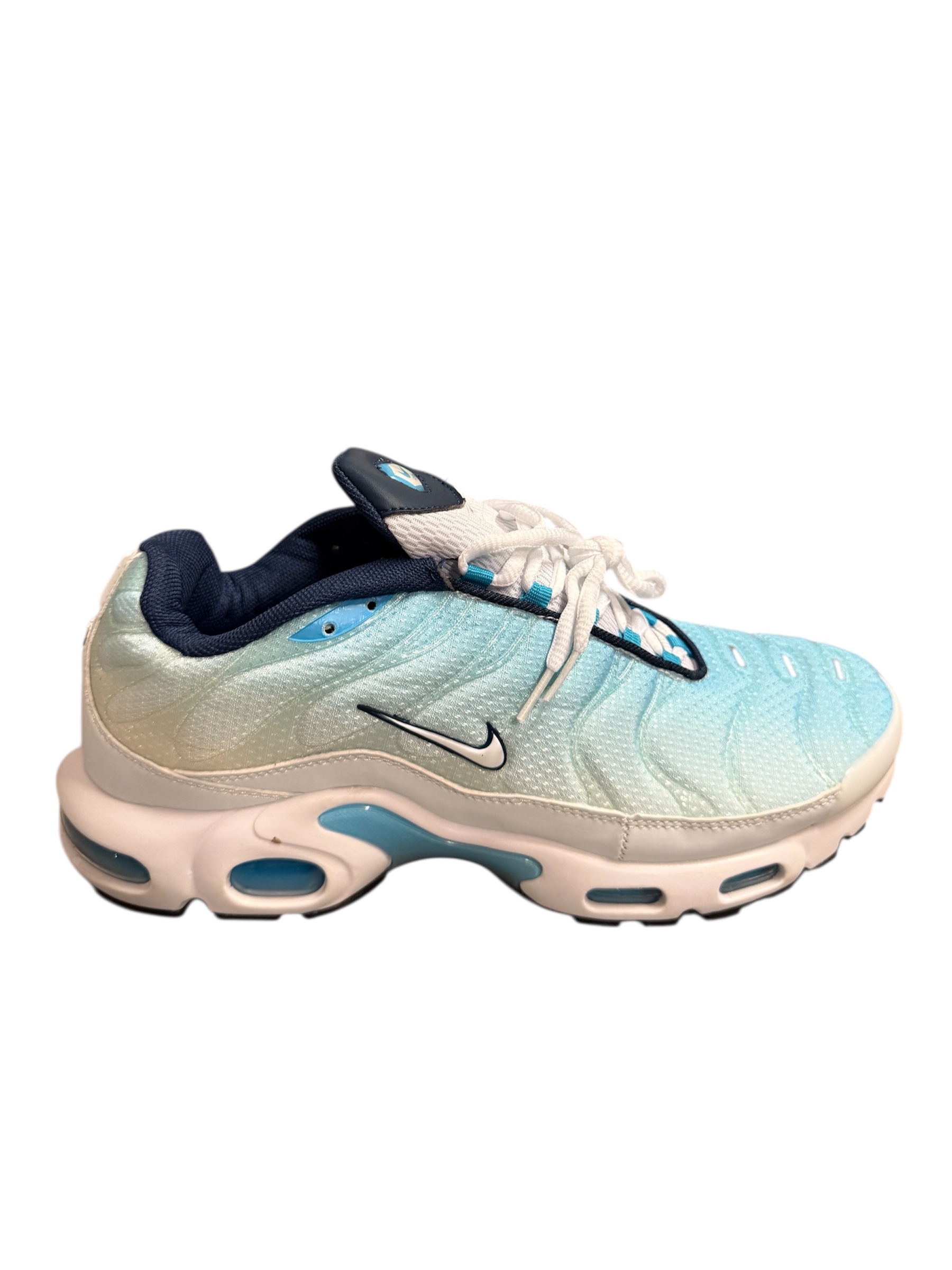 Nike Air Max Plus Sneakers Blue