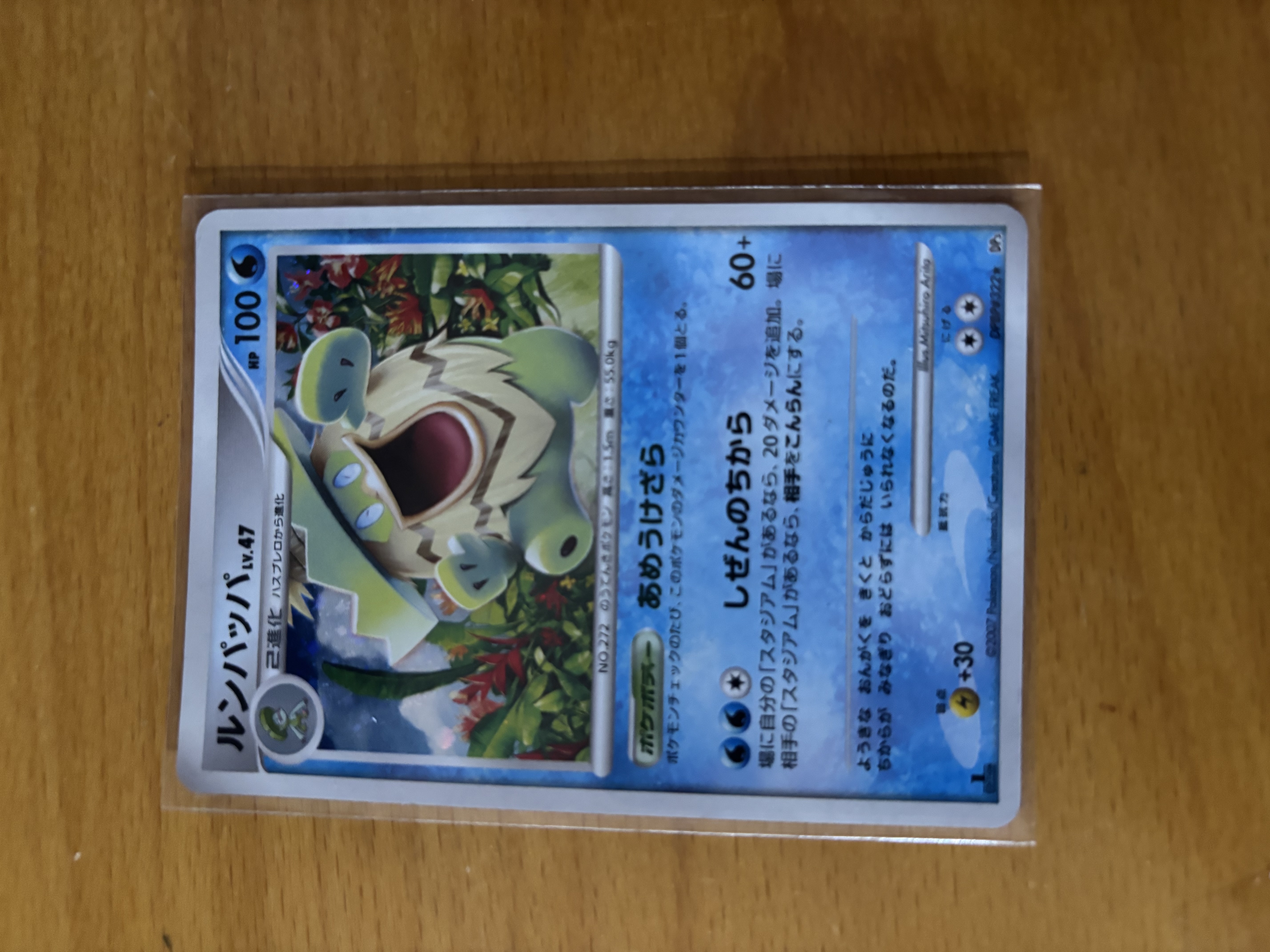 Ludicolo 