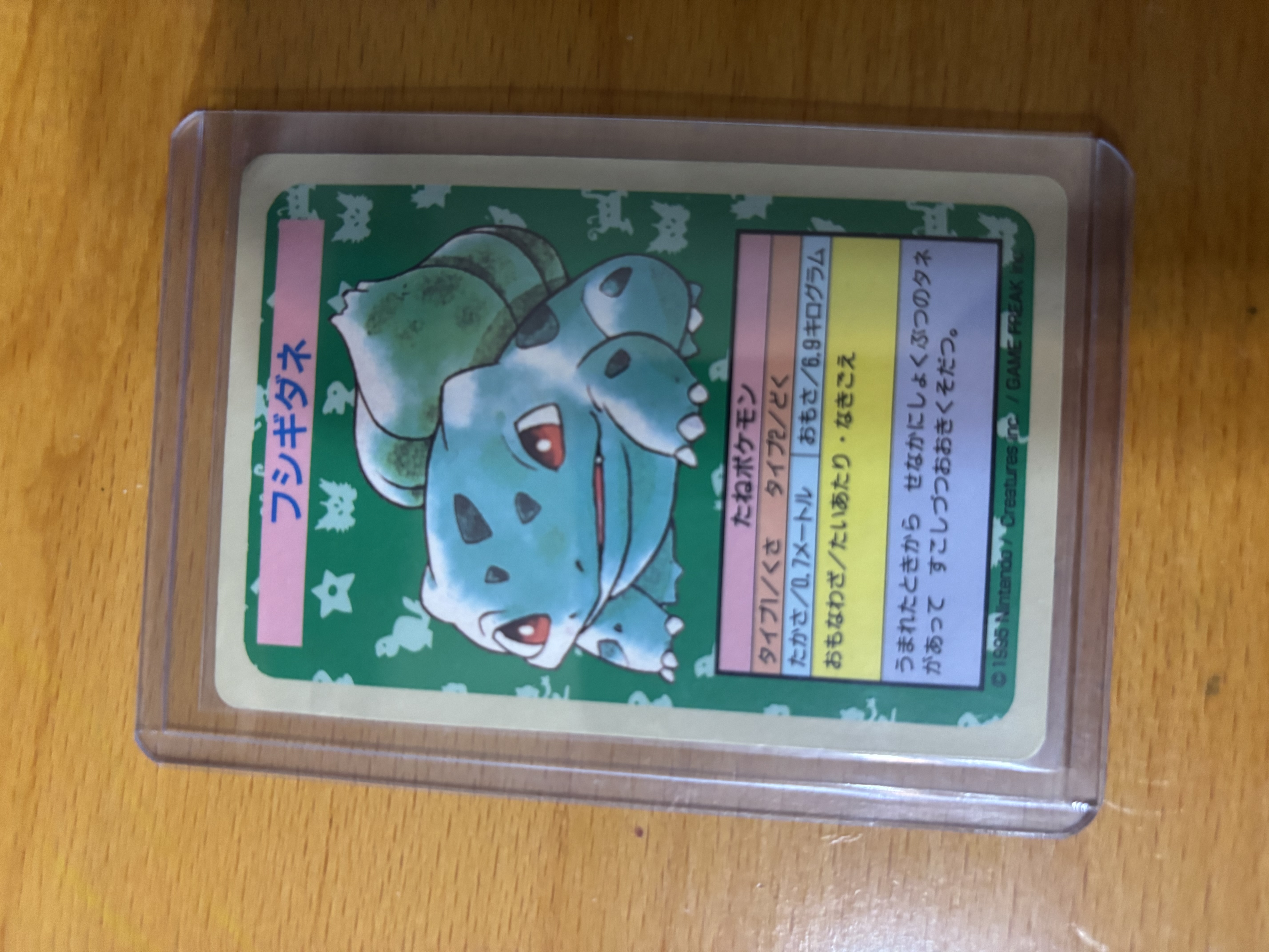 No number error Bulbasaur Japanese Pokémon Card