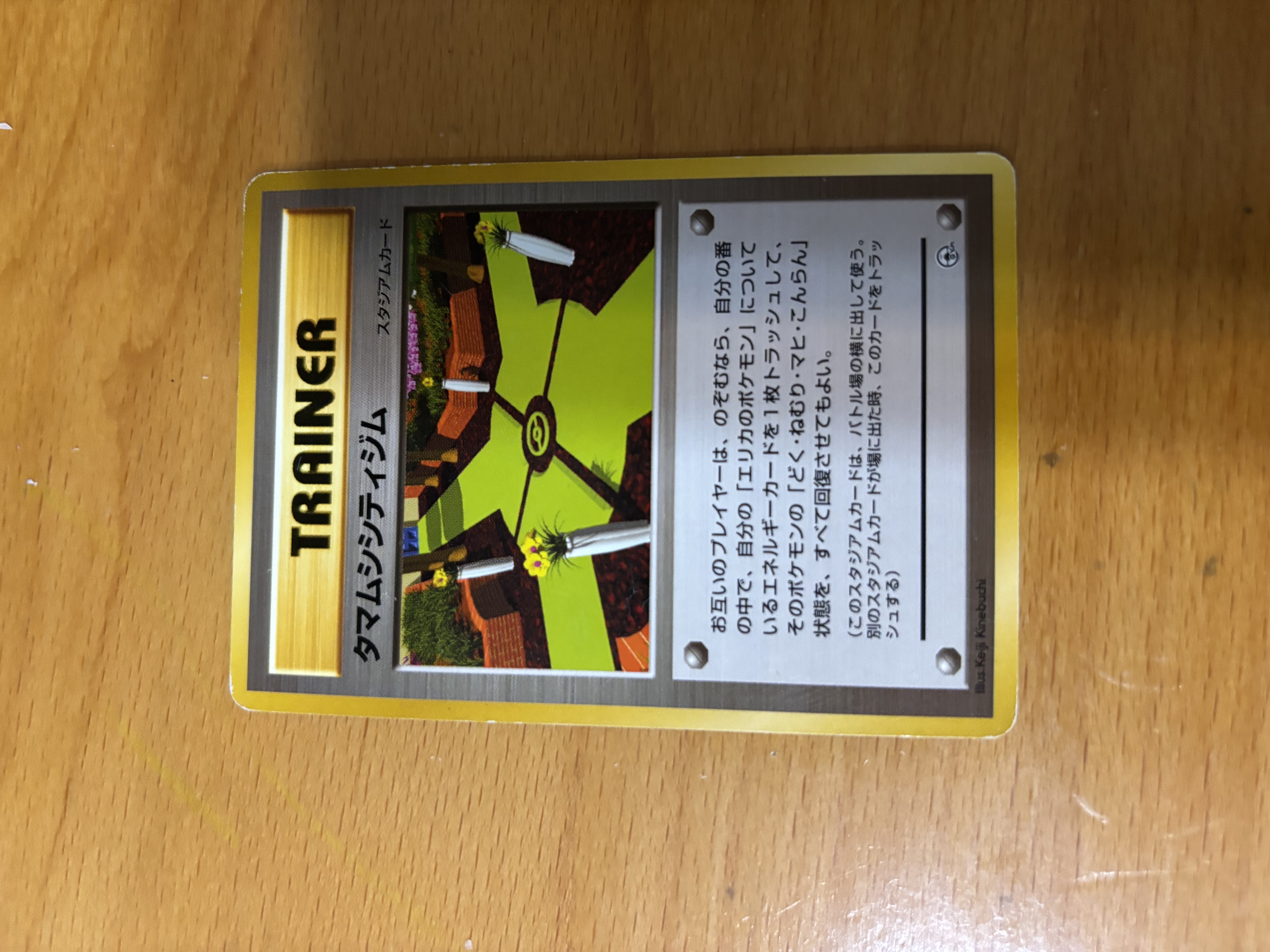 Pokémon Trading Card - Tamamushi City Gym
