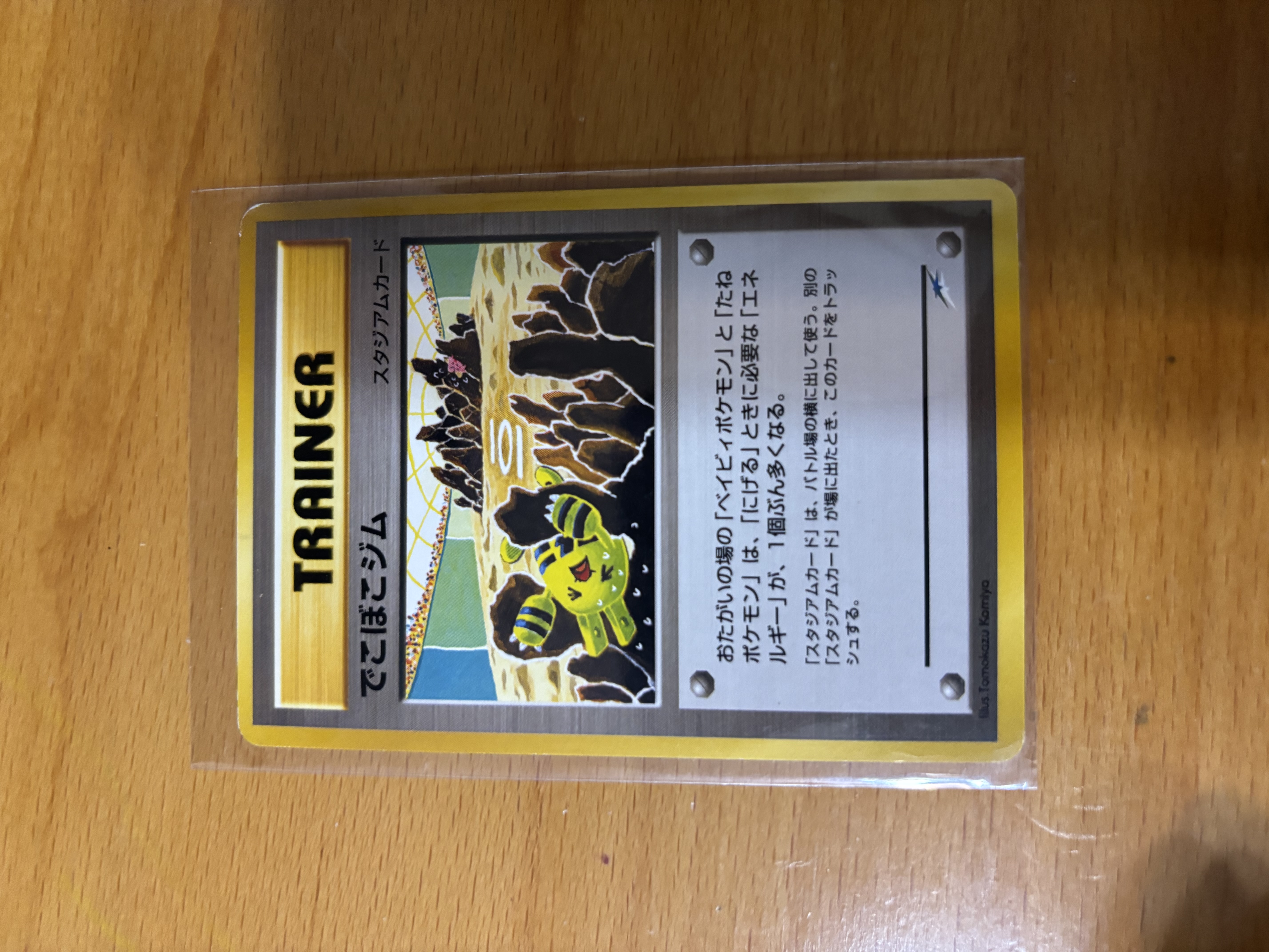 Pokémon Trainer Card (Japanese)