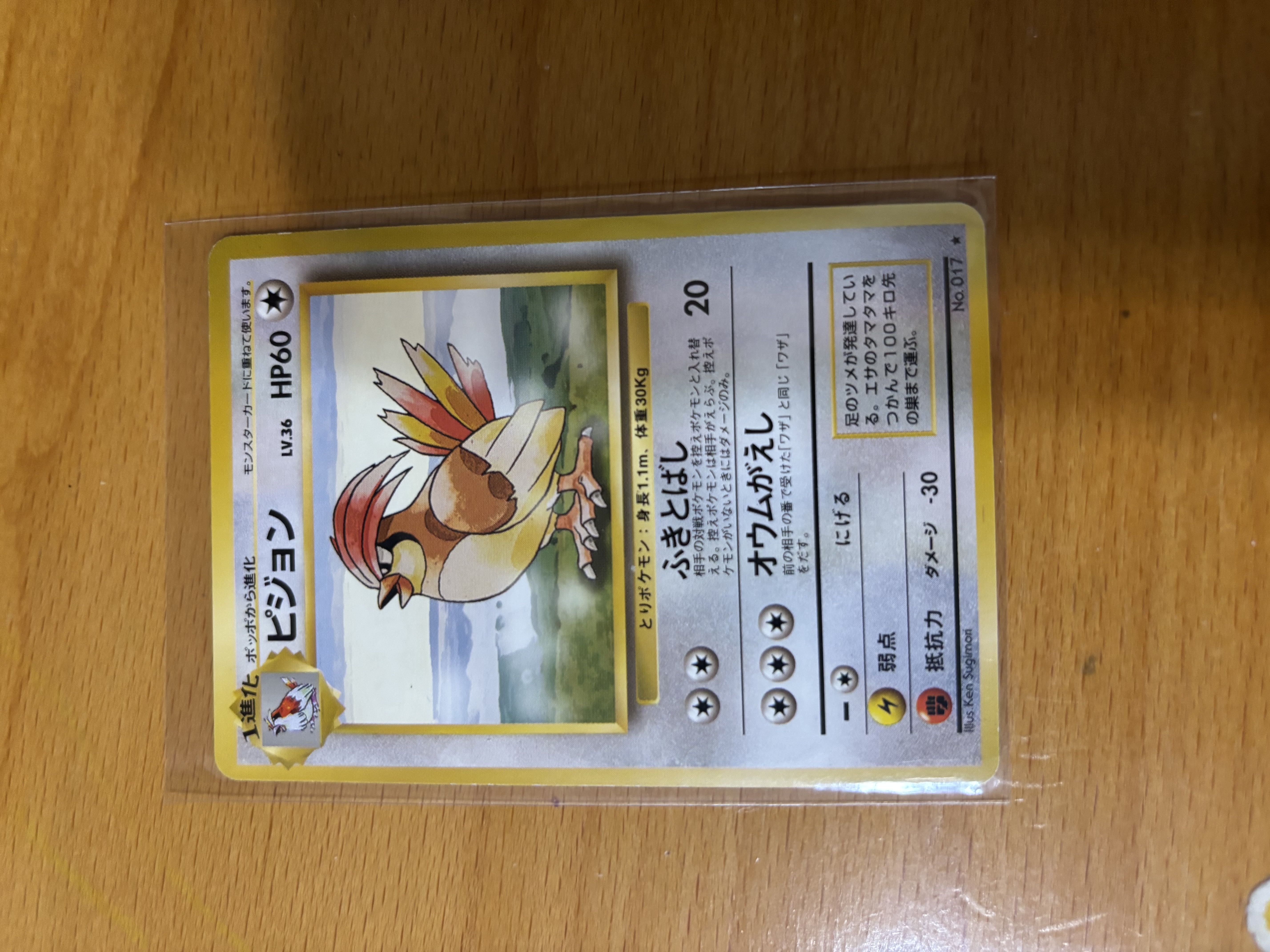 Pidgeon Japanese Pokémon Trading Card