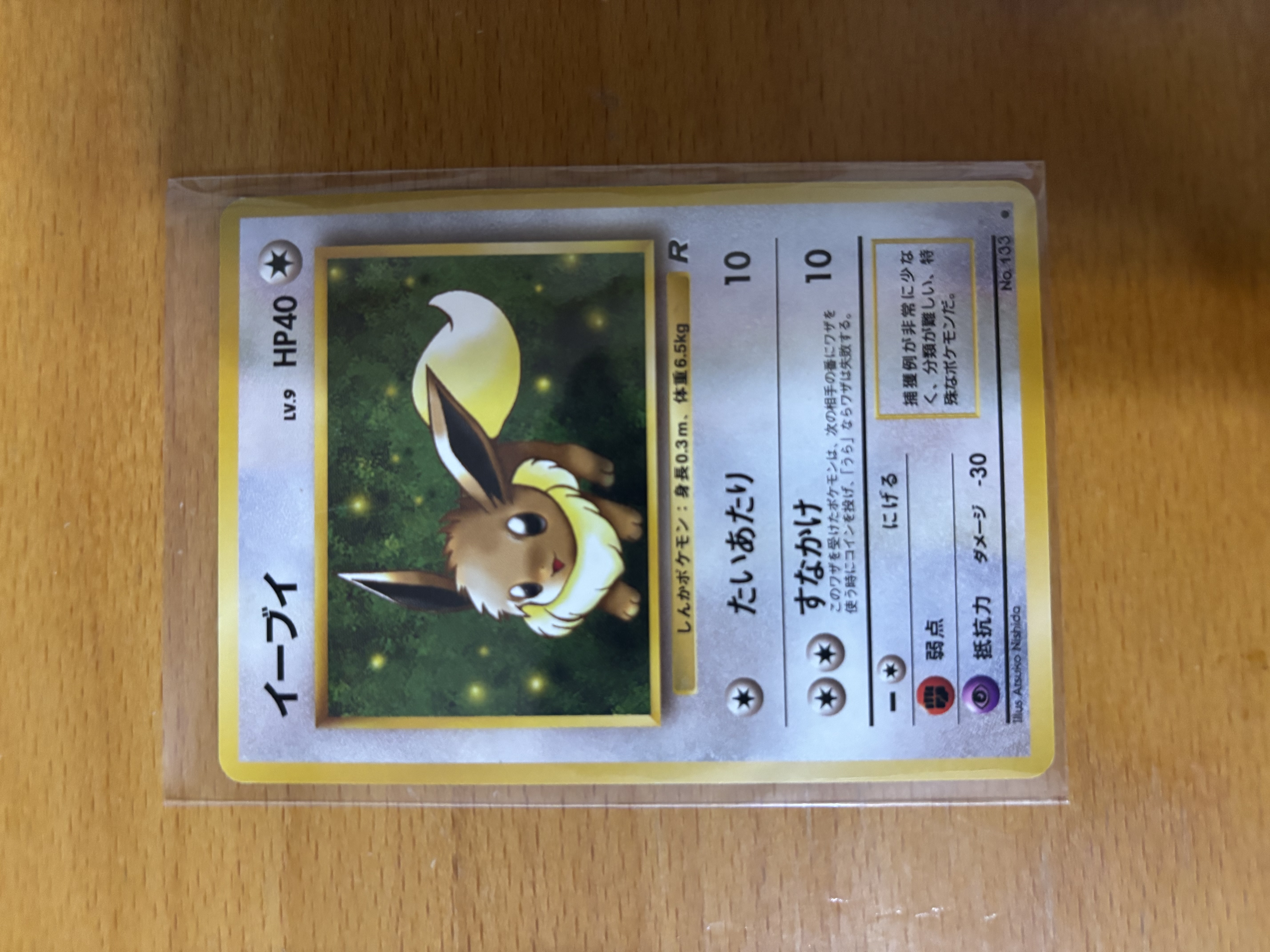 Eevee Japanese Pokémon Card