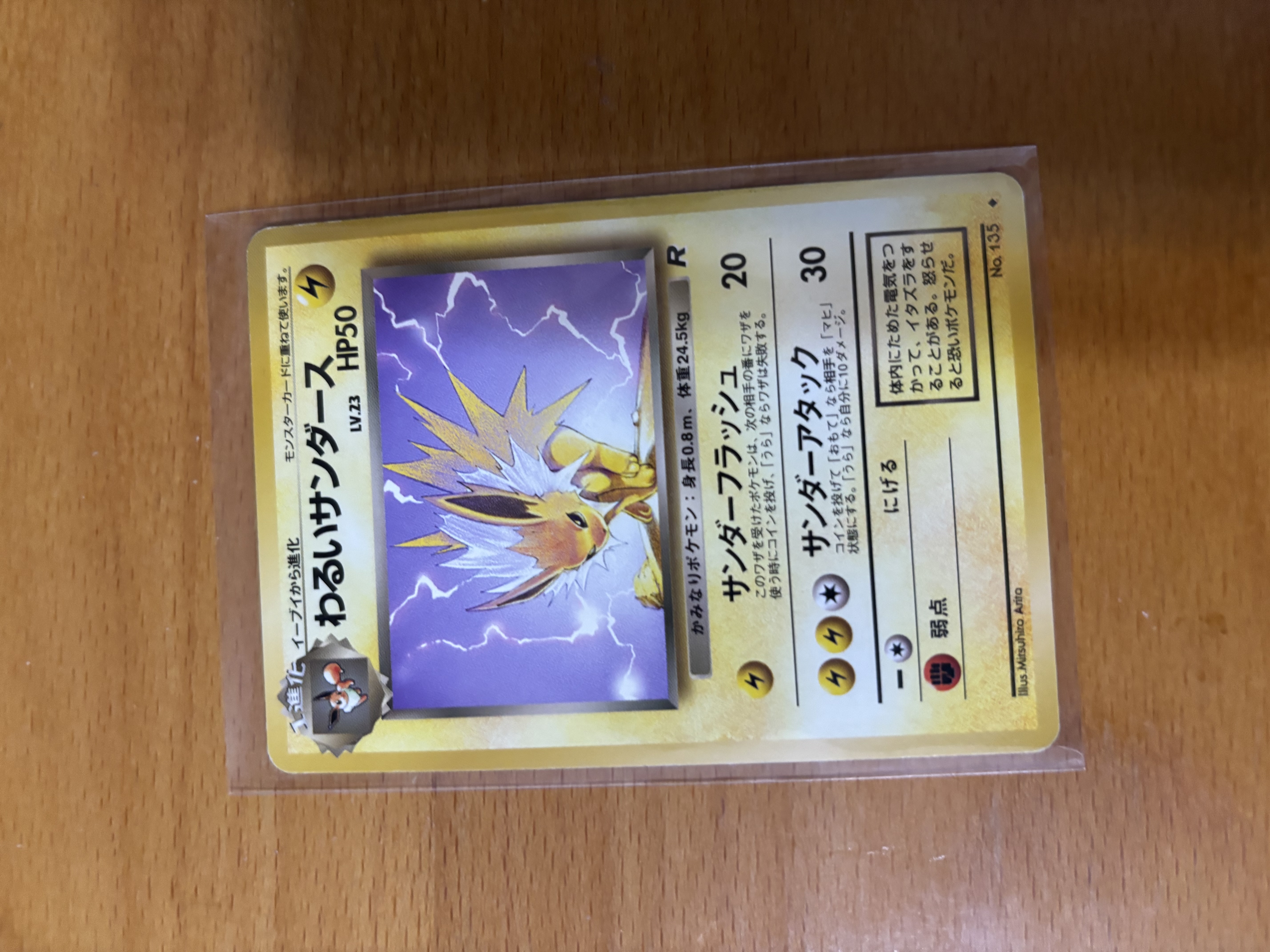 Japanese Dark Jolteon 