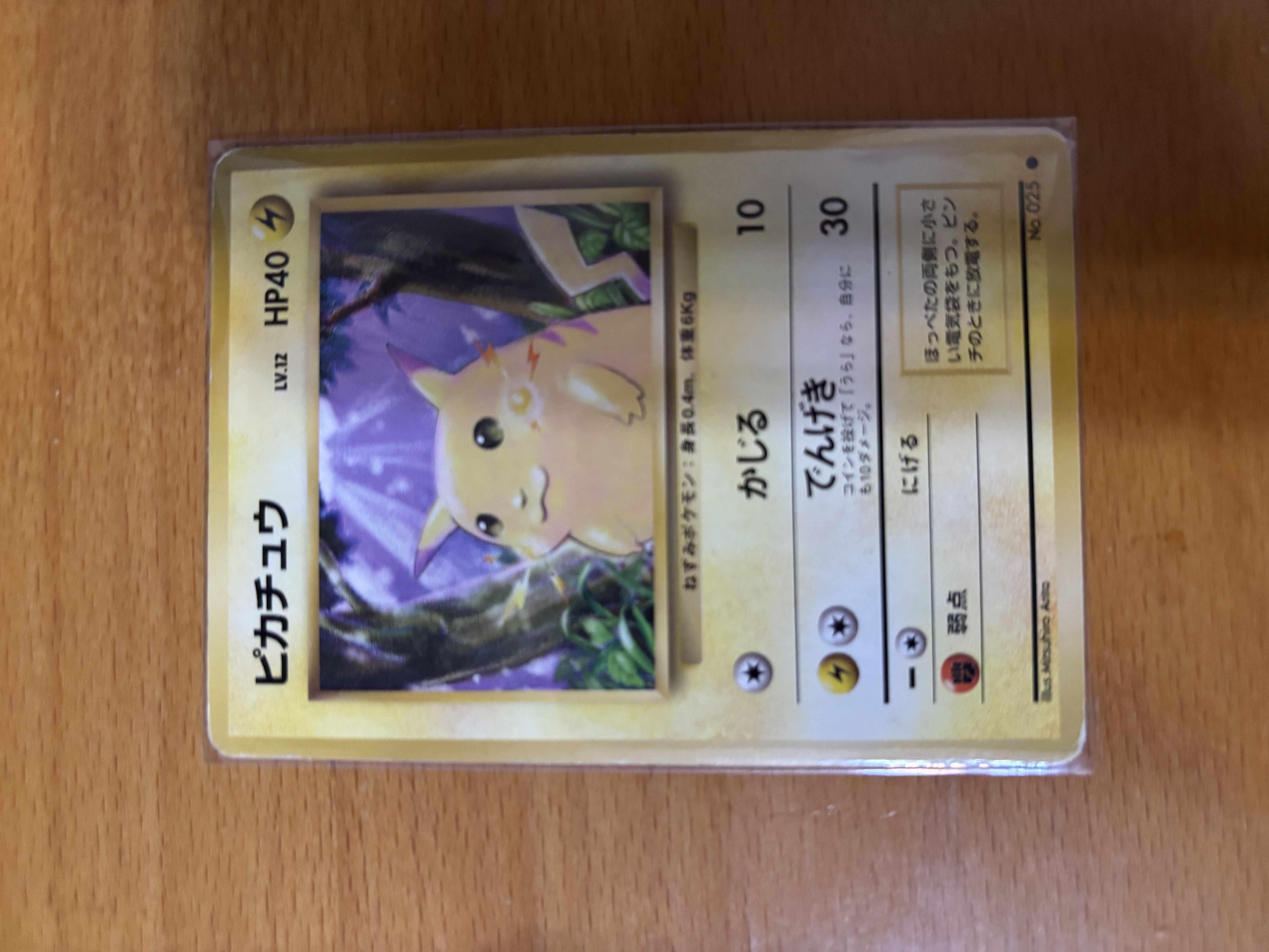 Pikachu Pokémon Card (Japanese)