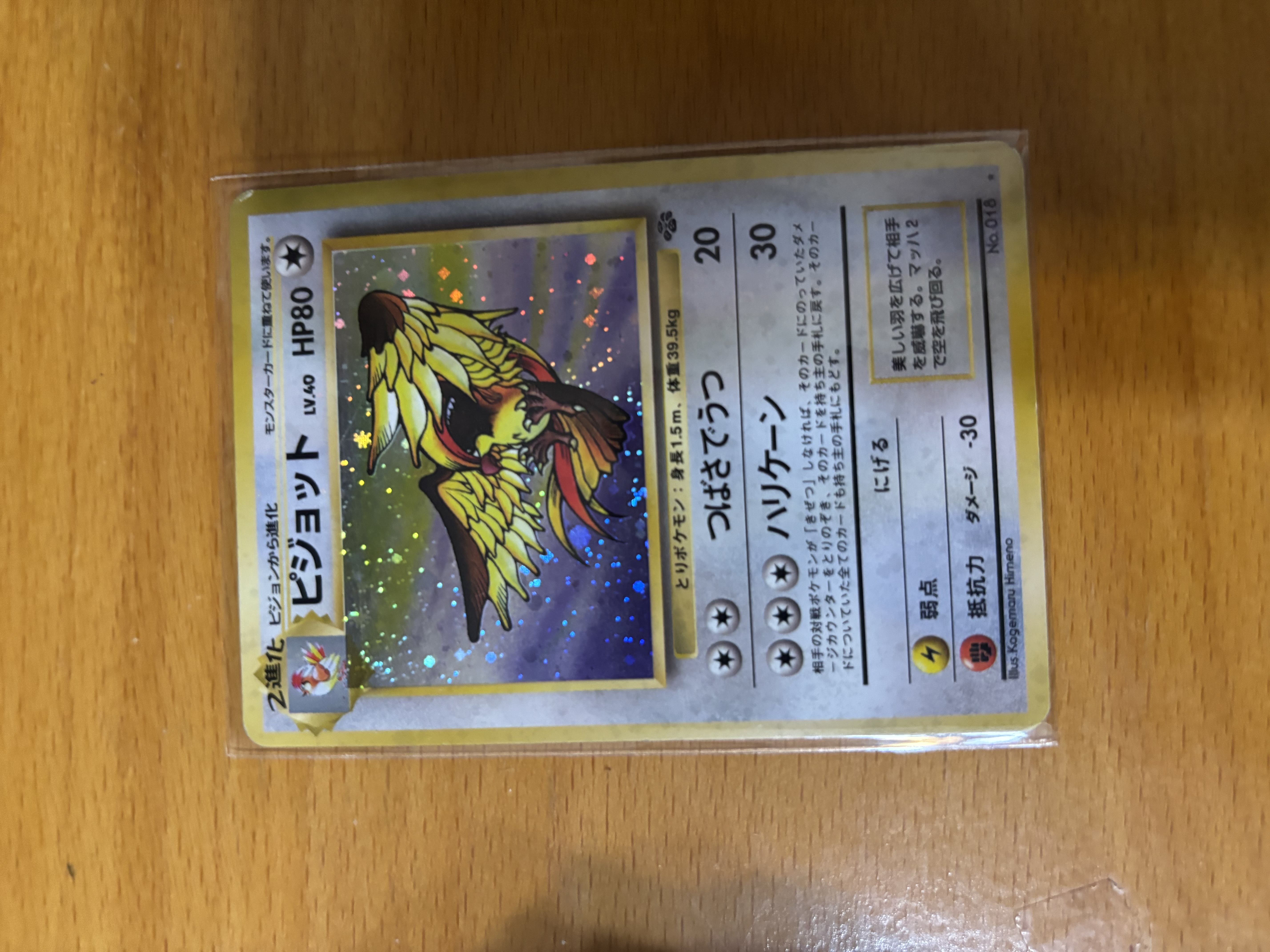 Pidgeot Holo Japanese Pokémon Card